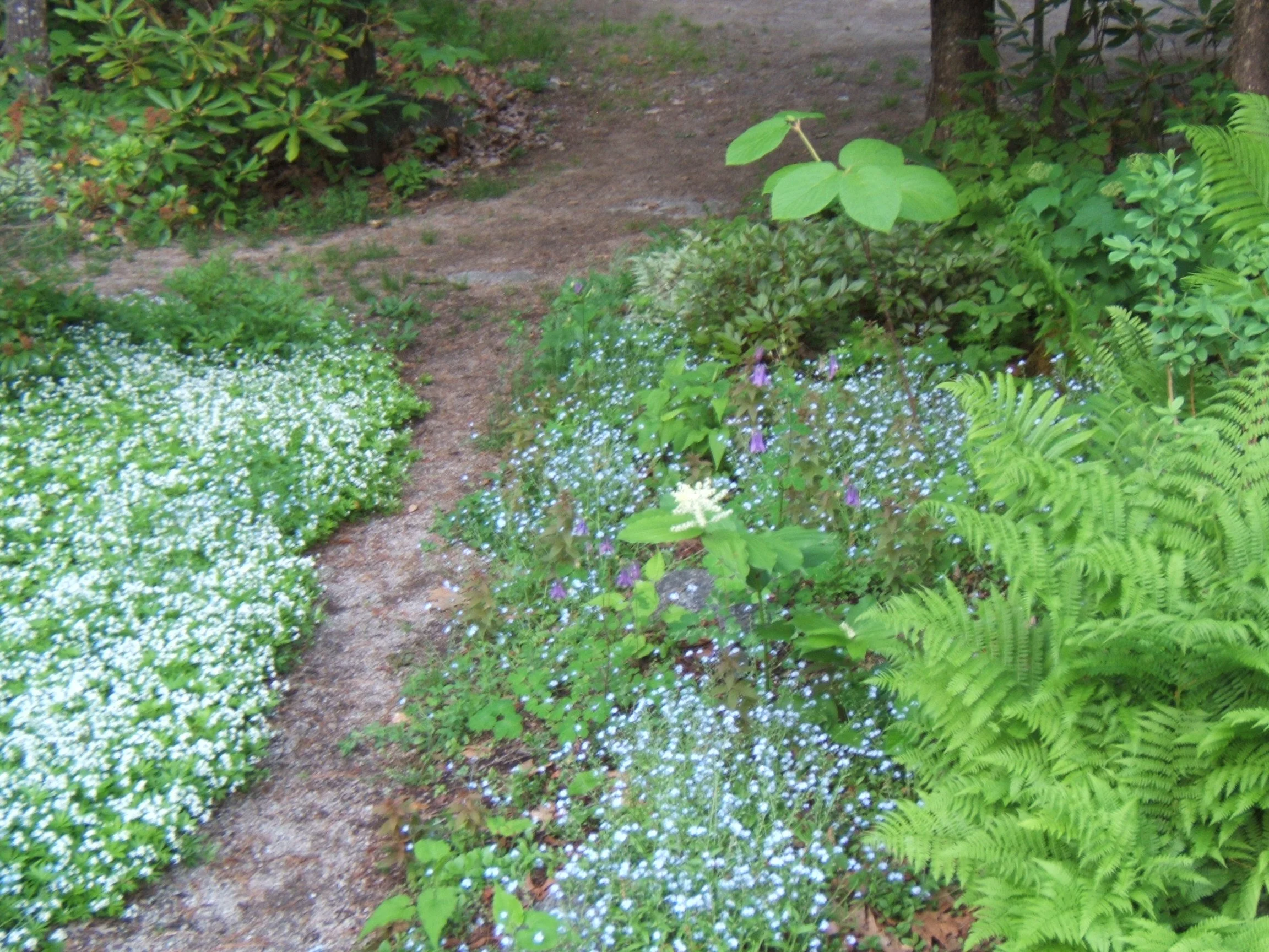 DSCF1071.JPG