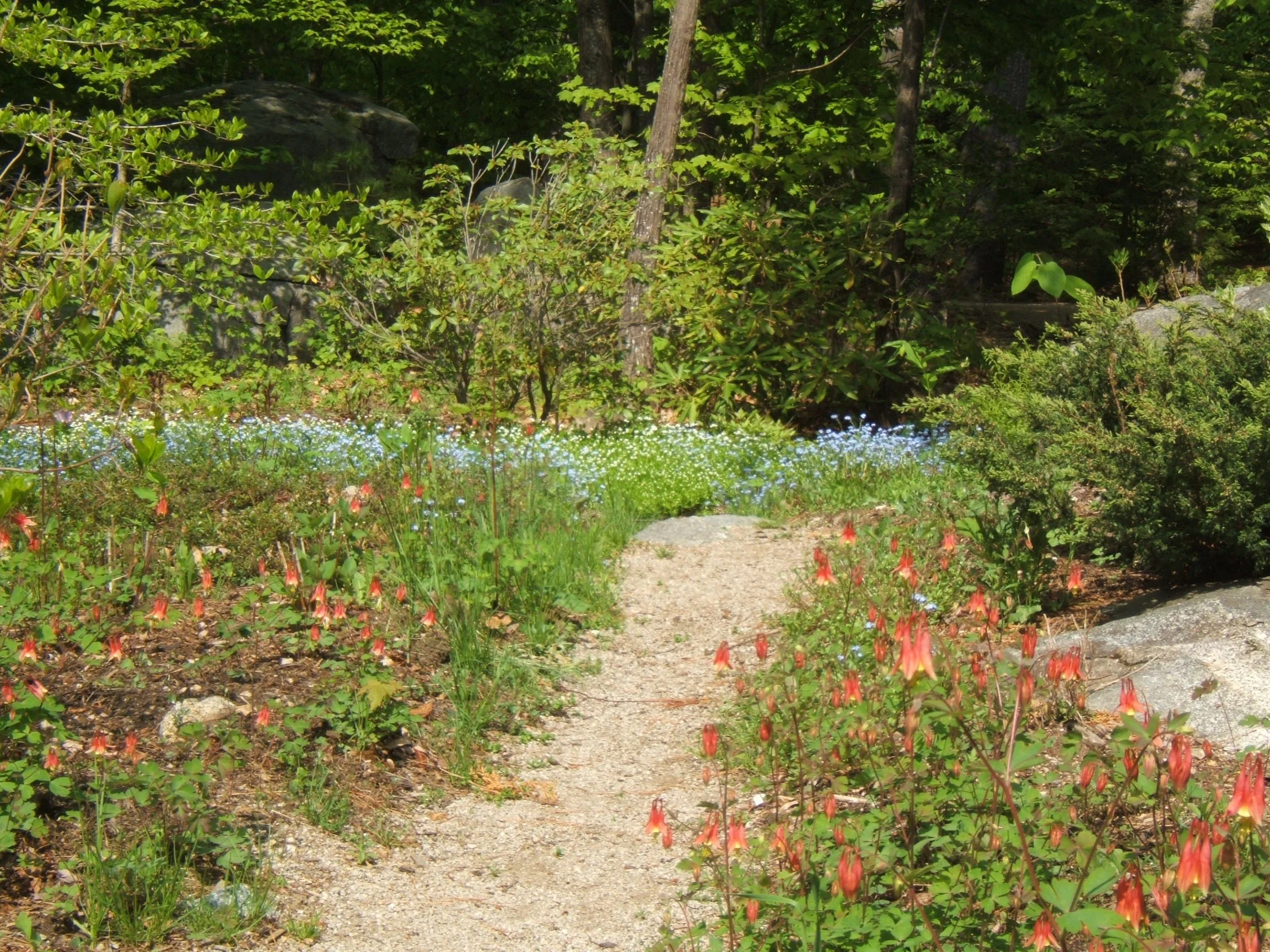 DSCF1062.JPG