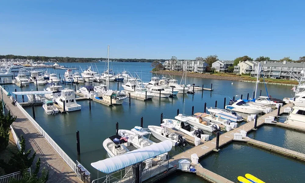 A harbor with waterfront homes