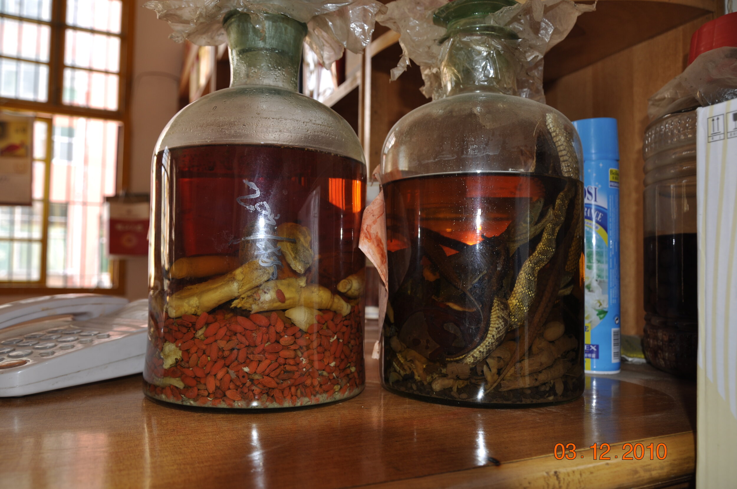 Corrective Action Plan (audio version. Narrated by Drew Fralick w/ Billy Mark)