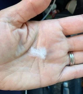 Allowing Our Most Tender Parts to Lead