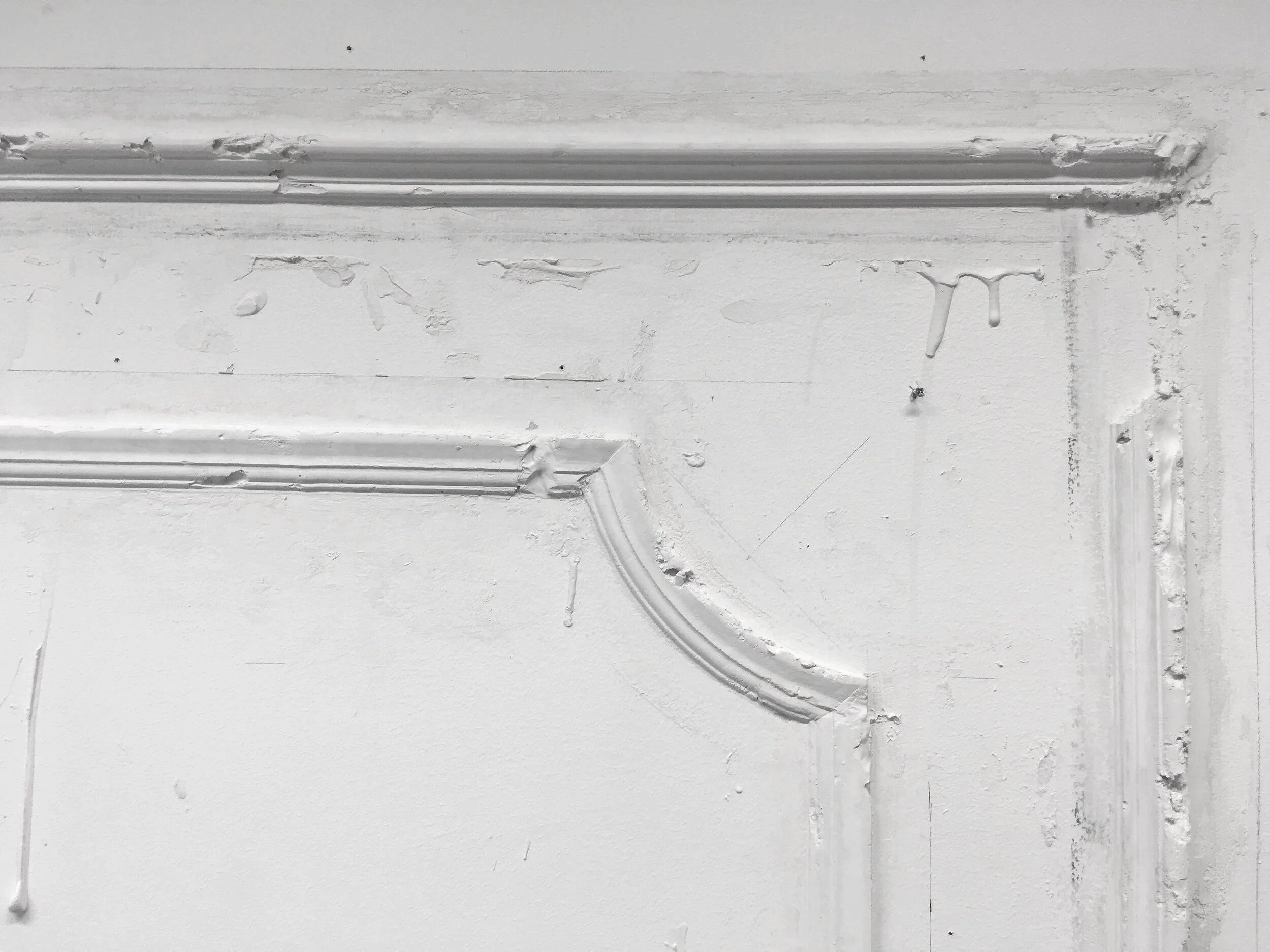 sonya+blesofsky+plaster+installation+in+situ.jpg
