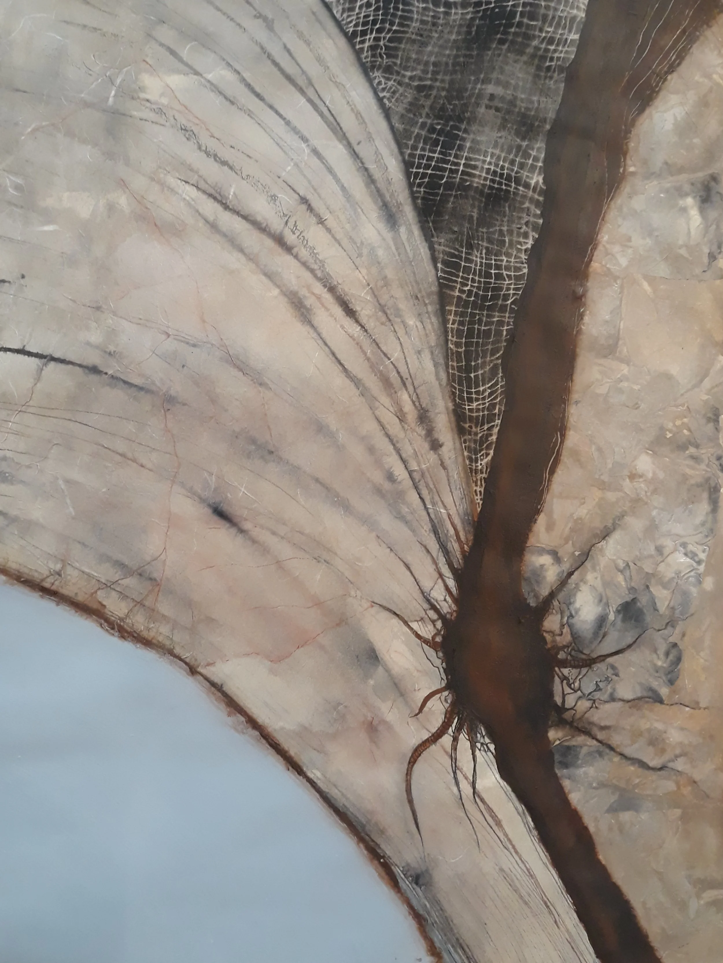 Skeeter Eater (22 x 30) $350.00