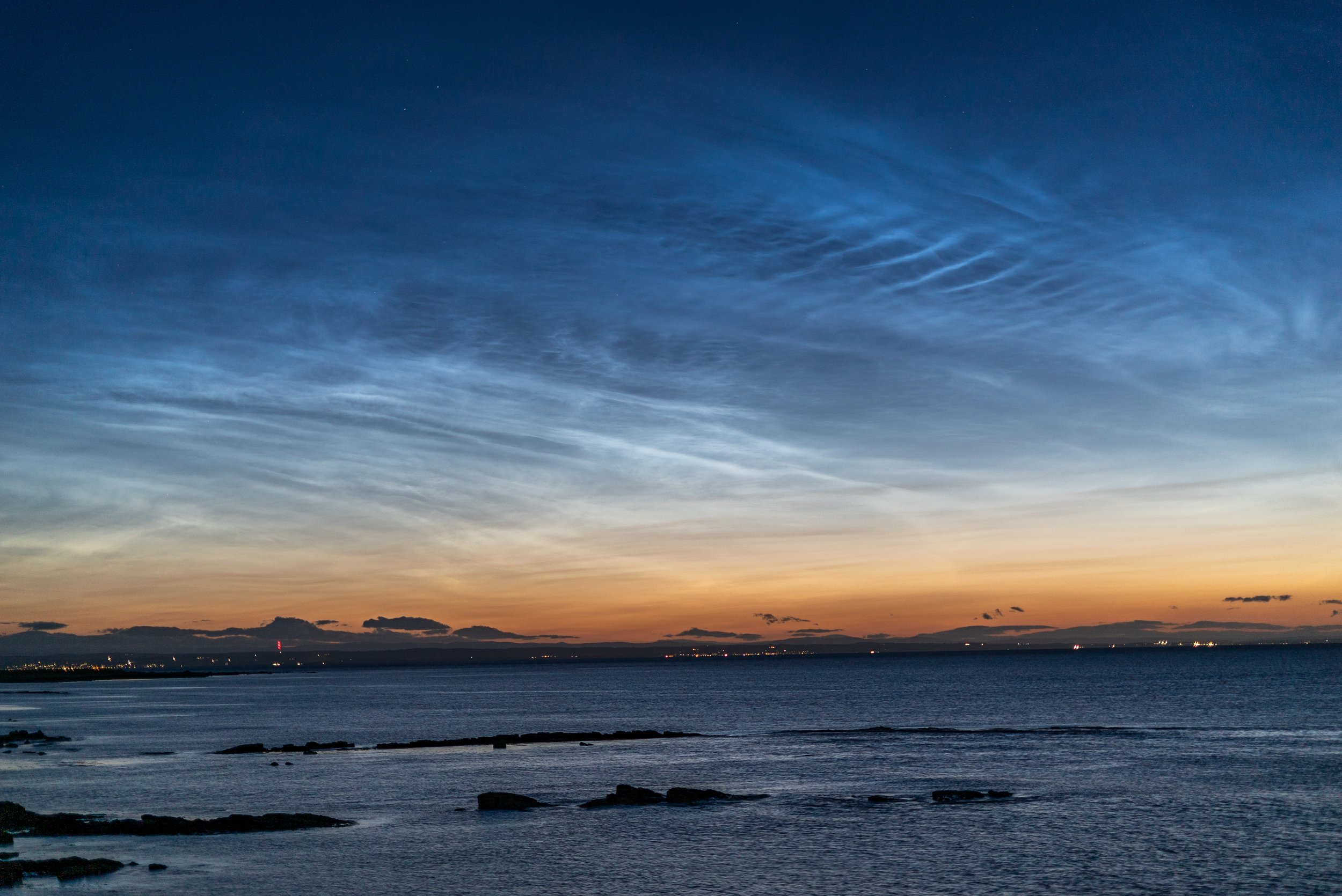 NLC's-8.jpg