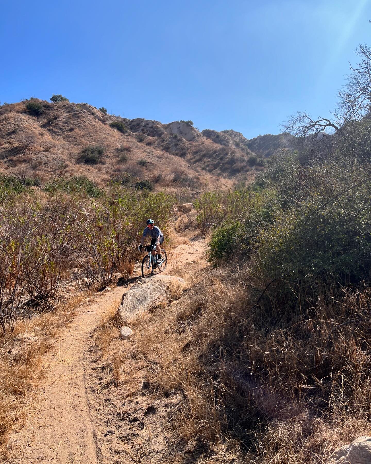 🚨shop ride 🚨
Meet tomorrow @cafecitacoffee 8am roll 8:30
Heading into the verdugos for some single track adventures.  Bring a dirt capable bike. ✌️ 
.
.
#letsridecyclery #lrc #burbank #bikeshop #letsmakefriends #shredlongandprosper