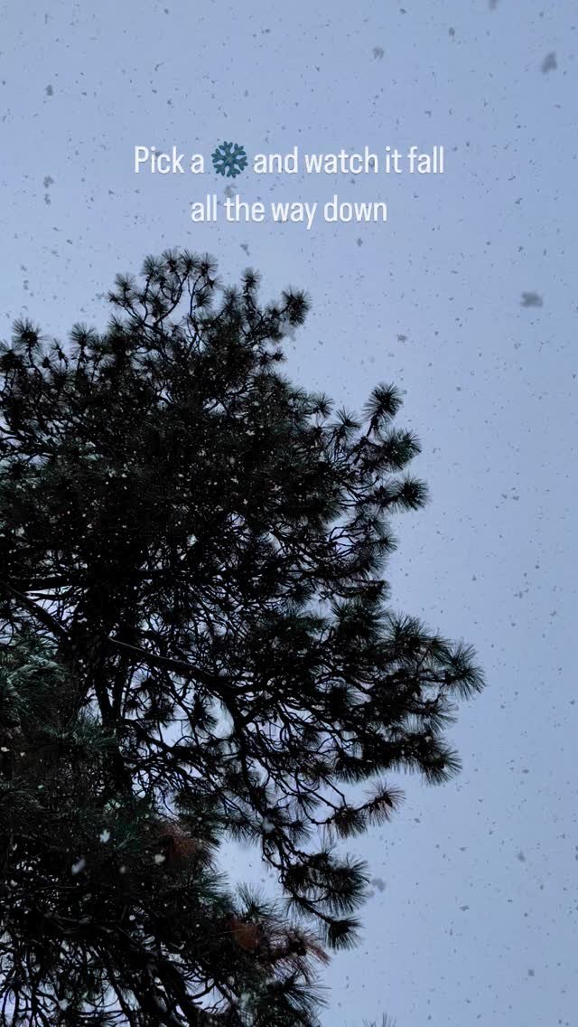 What are you grateful for in this moment? ❄️
Yesterday was feeling a bit 🫤 (the dark days can get to me if I am not intentional)
Got up from my desk for a fresh cup of 🍵, and saw these big, beautiful ❄️ falling outside.
Instantly back in the pr