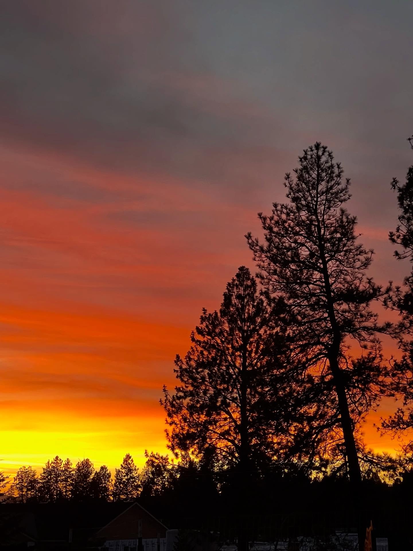 Happy new year ✨what energy are you choosing for your 2026?🪄