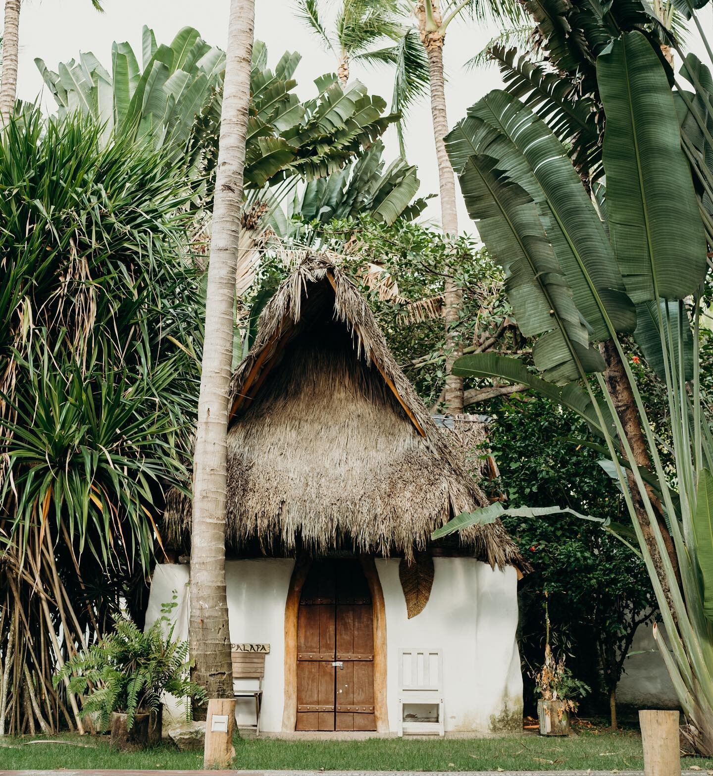 &ldquo;La Palapa&rdquo; is located in the heart of Frente al Punto. A charming and peaceful caba&ntilde;a where the bride (or groom) get ready before the big moment. 📸 by @annettefin.photos