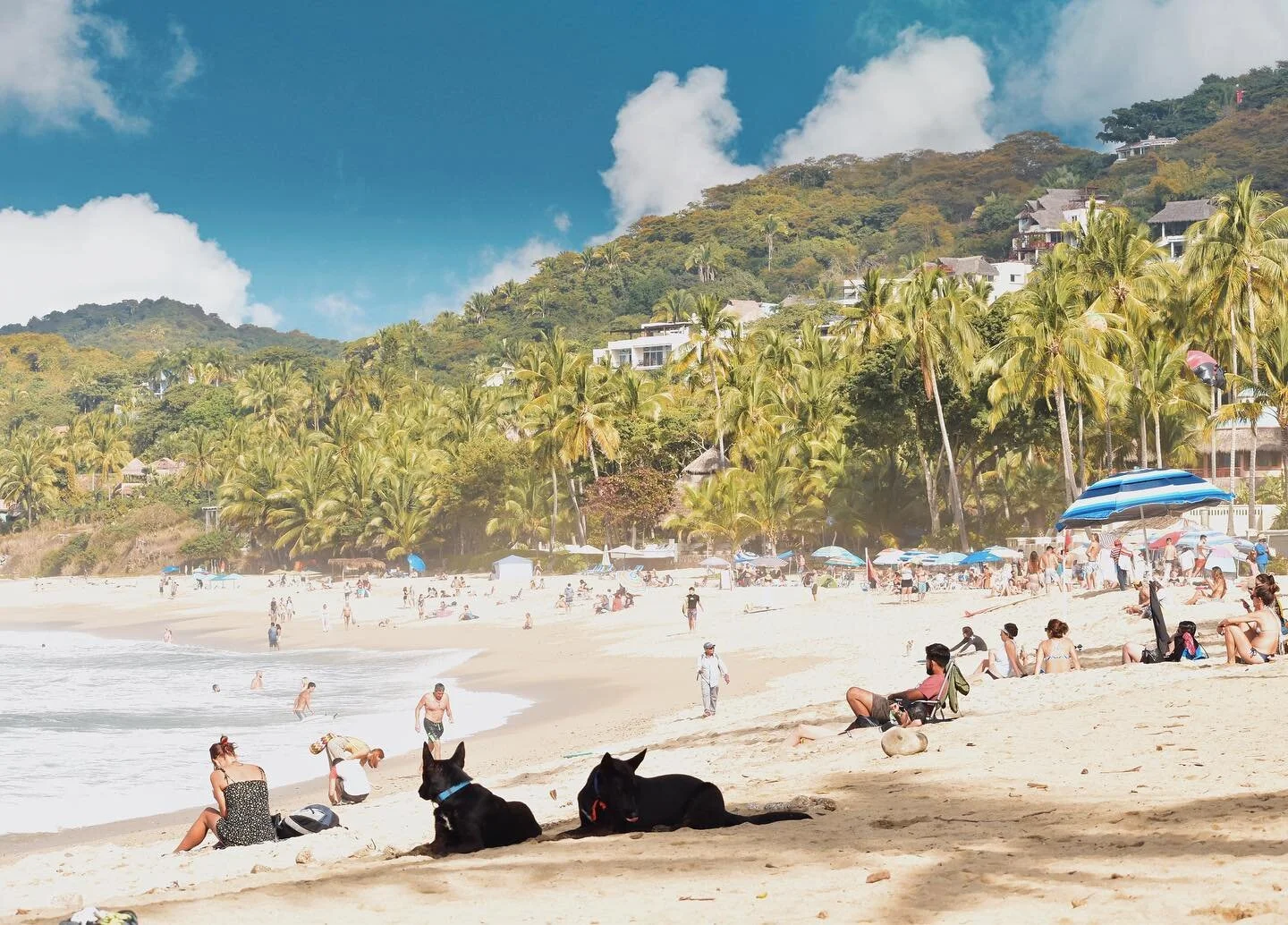 Your home away from home.
.
@frentealpunto @sayulitalifedotcom @riviera_nayarit