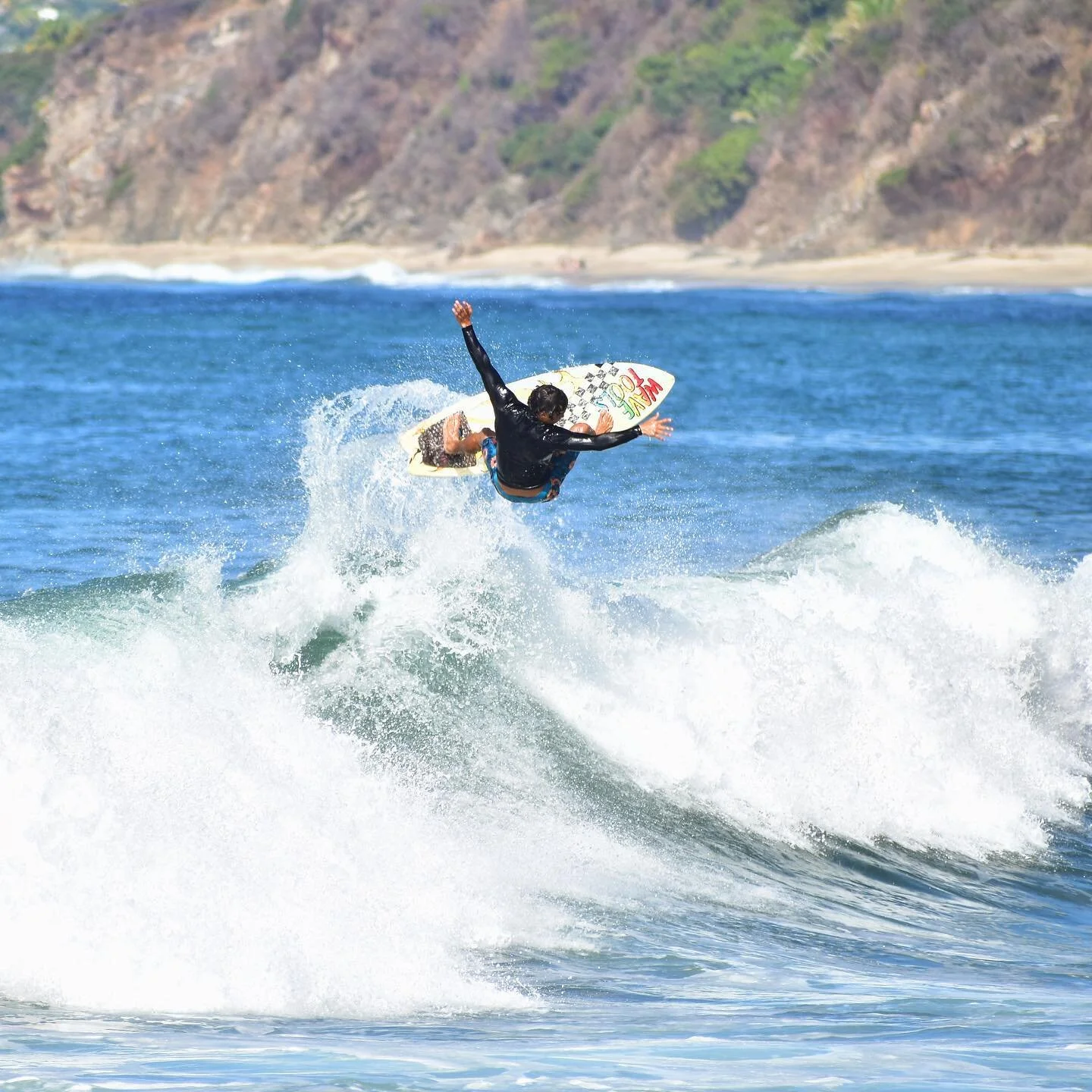 Wild cats in the water! Come say hi today 🙌💥🤍