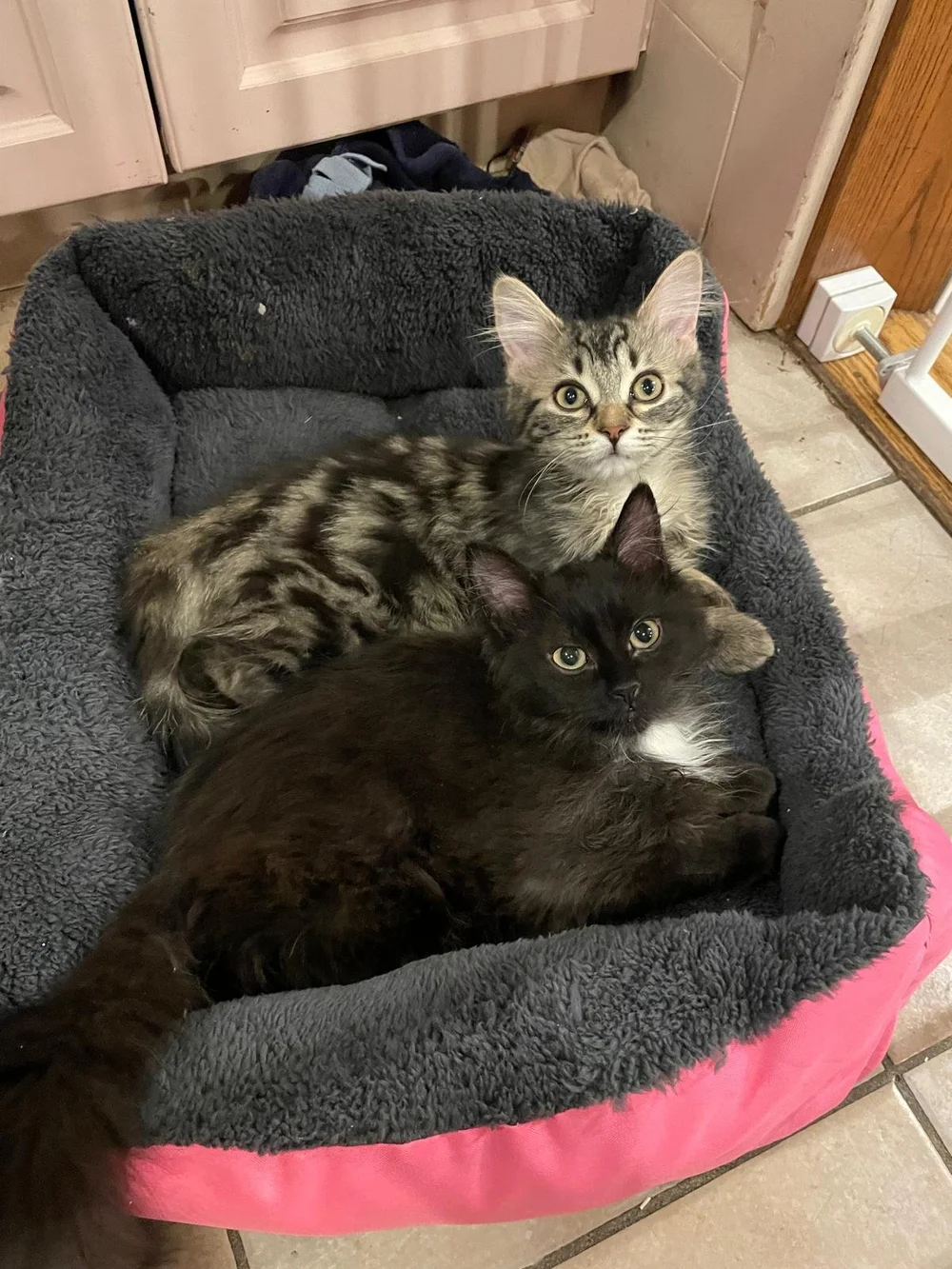 WhatsApp Image 2024-07-22 at 11.35.03 AM(2).jpeg