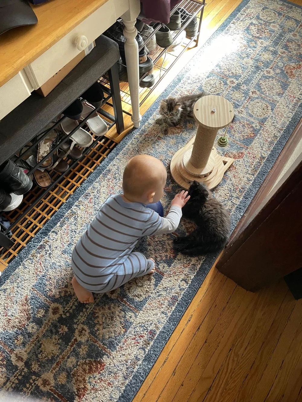 WhatsApp Image 2024-07-22 at 11.35.02 AM(1).jpeg