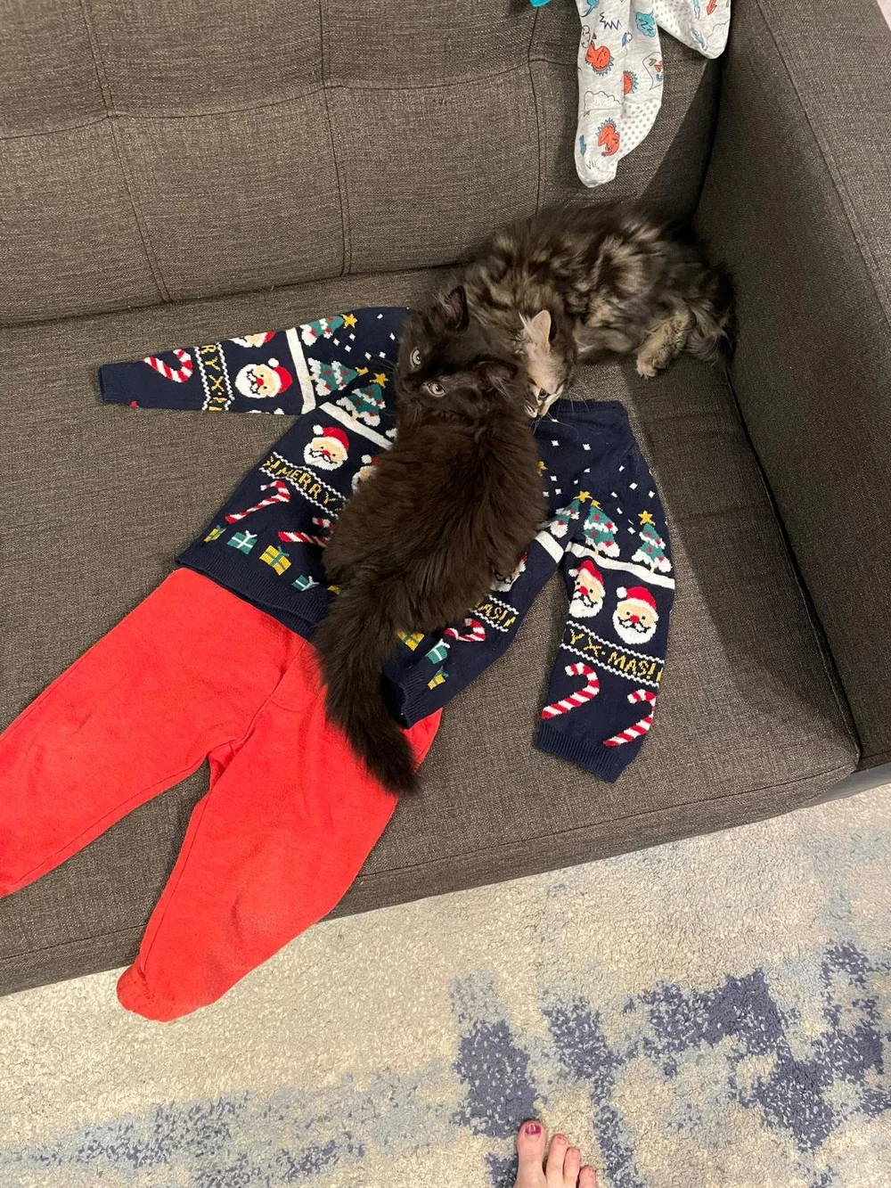 WhatsApp Image 2024-07-22 at 11.35.02 AM.jpeg