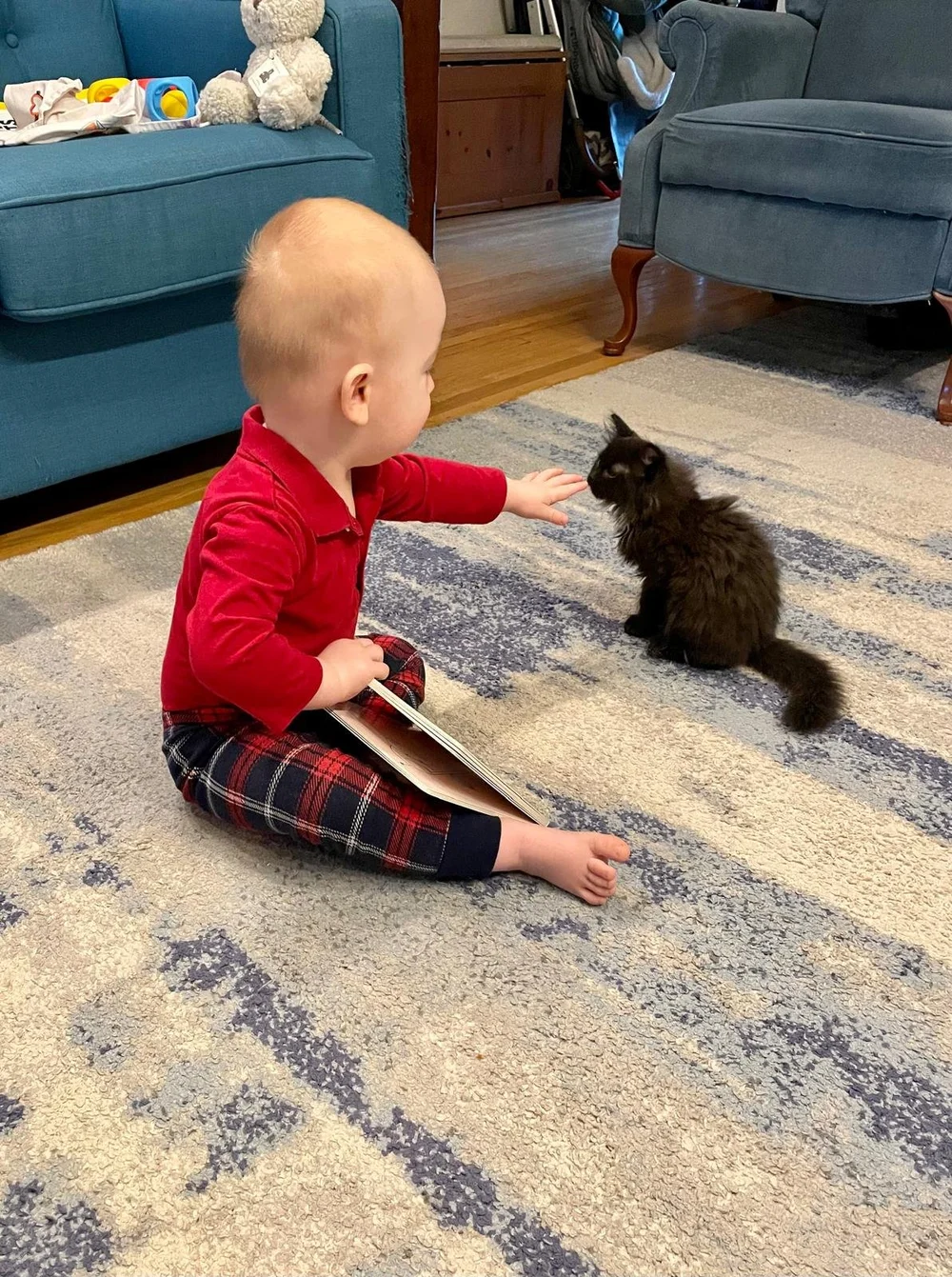 WhatsApp Image 2024-07-22 at 11.34.57 AM(3).jpeg