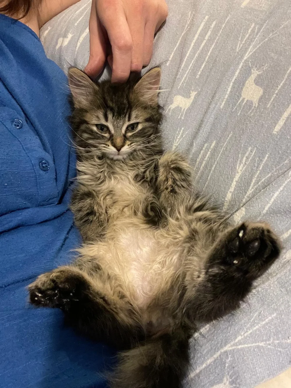 WhatsApp Image 2024-07-22 at 11.34.57 AM(2).jpeg