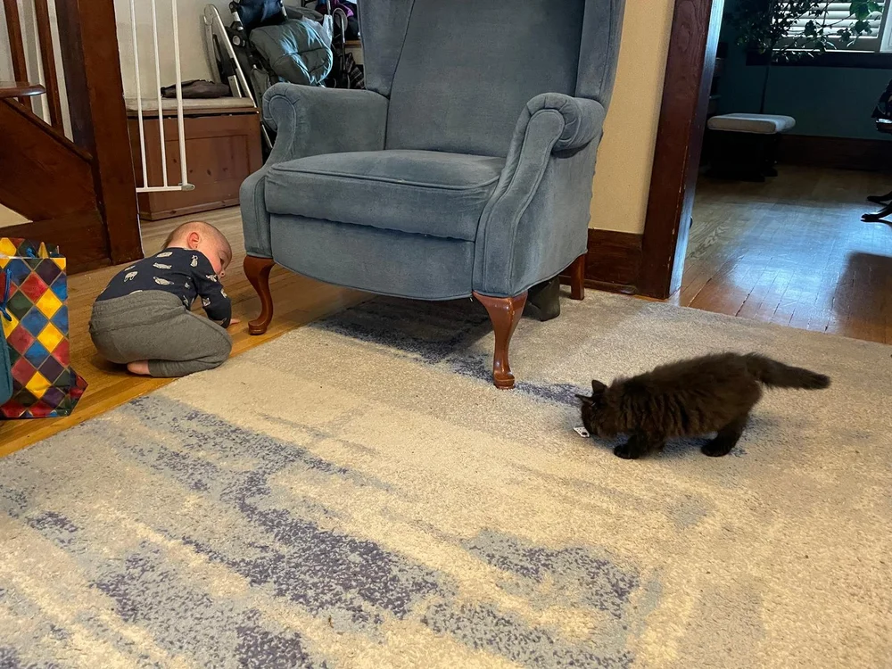 WhatsApp Image 2024-07-22 at 11.34.57 AM.jpeg