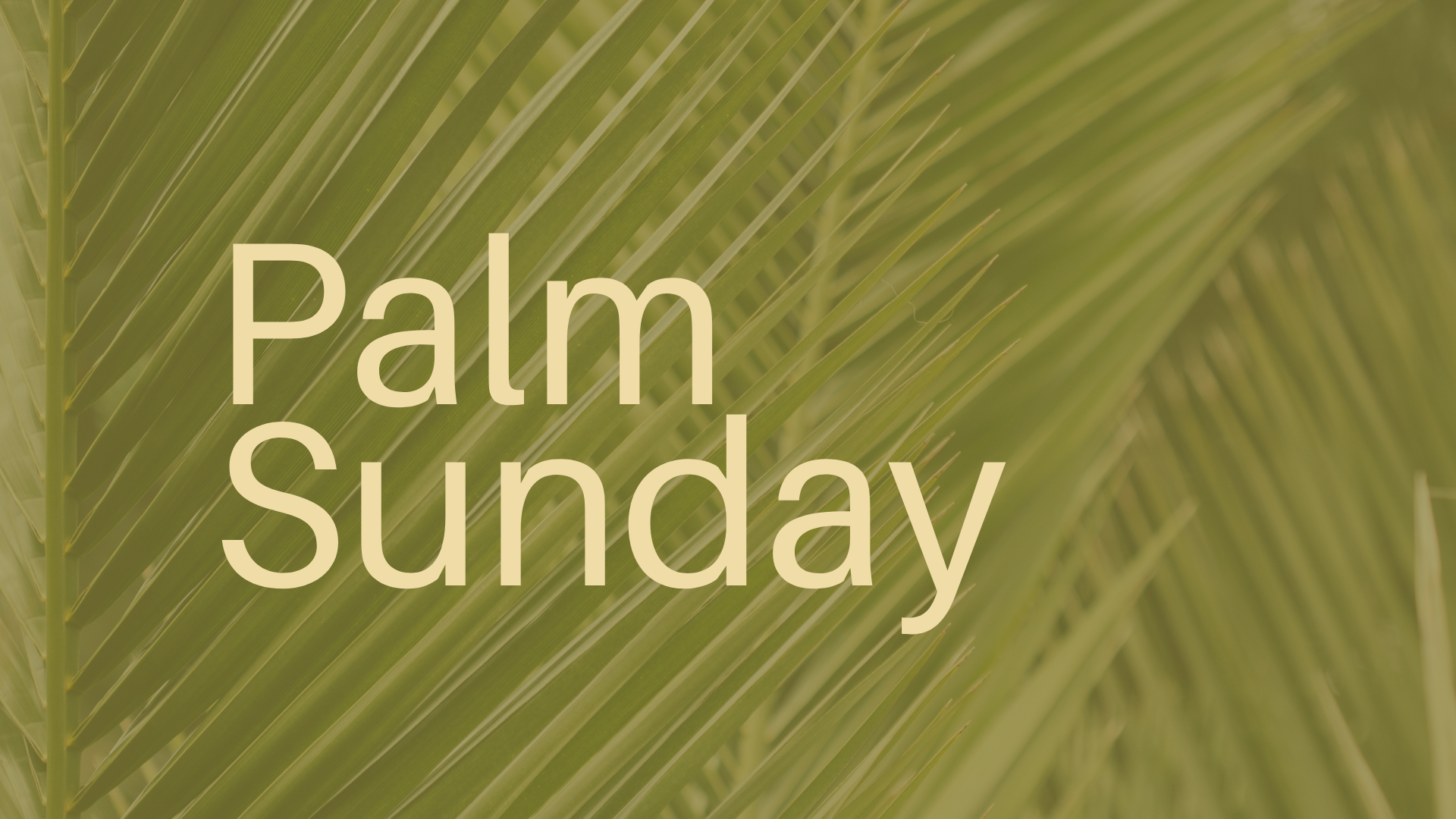 Palm Sunday: Clash of Kingdoms
