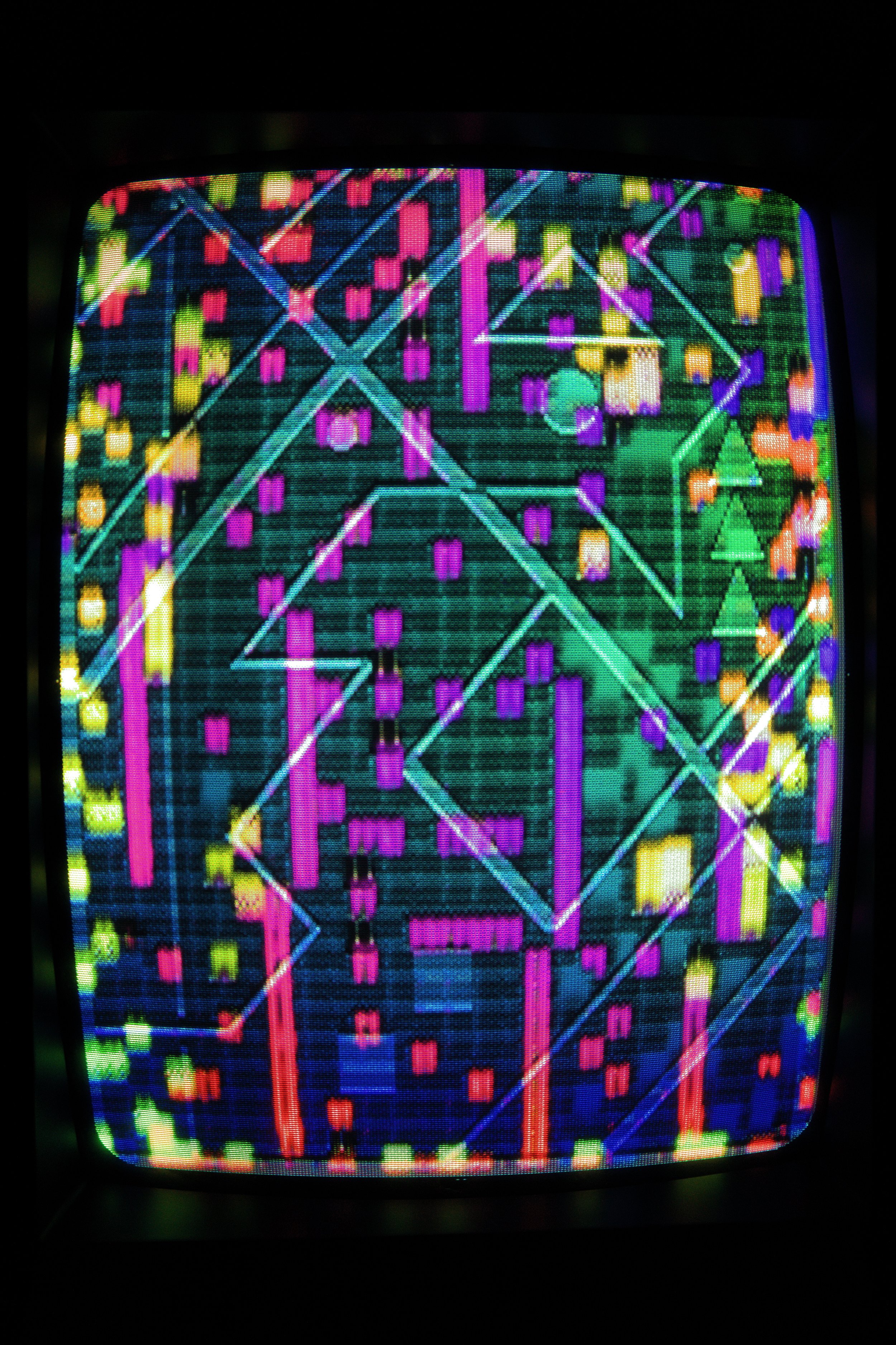DSC07375_01.jpeg