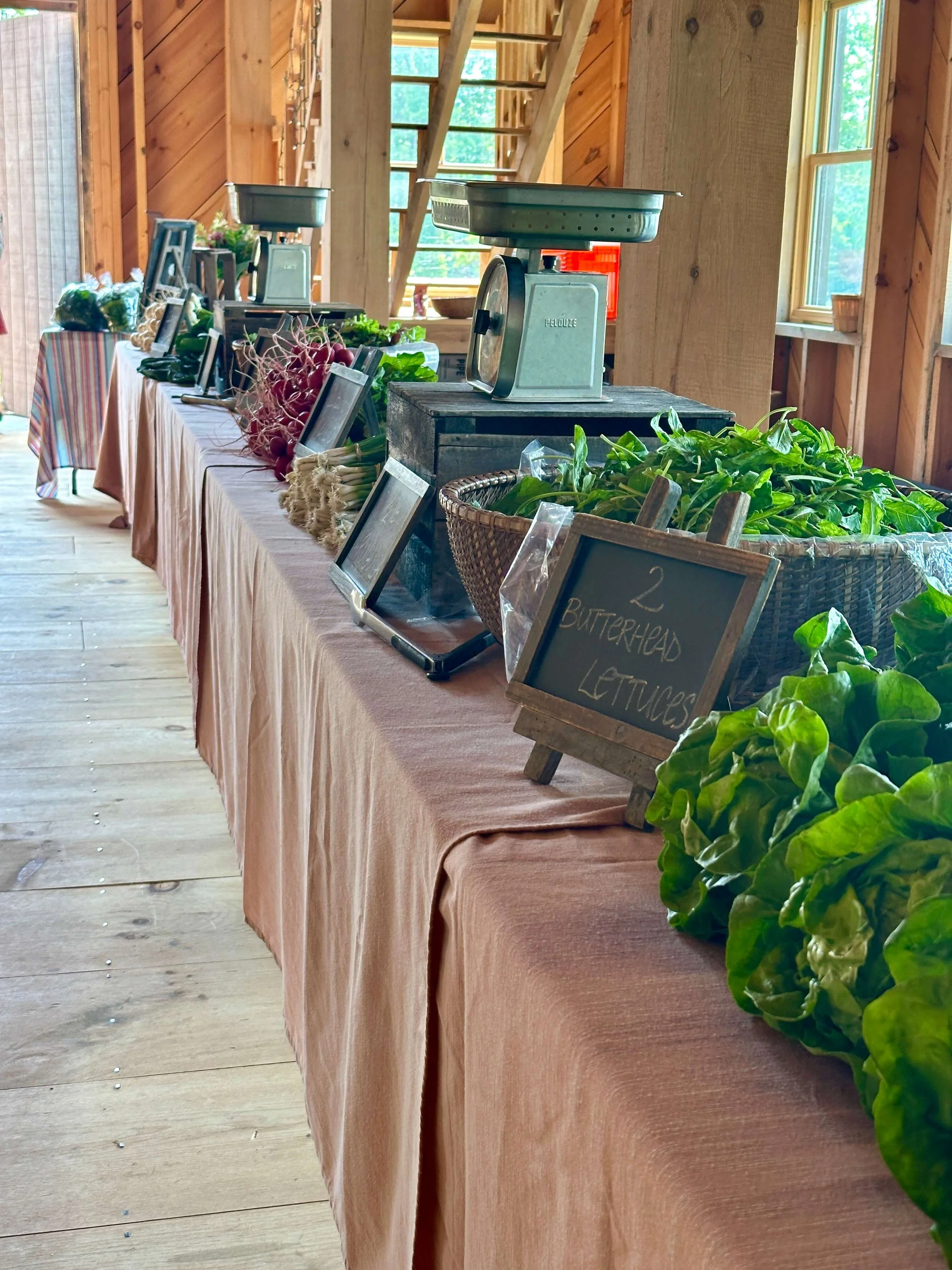 Virtual CSA Presentation, Info-Sharing, and Q+A Thursday, April 23rd 7:00 – 8:00pm