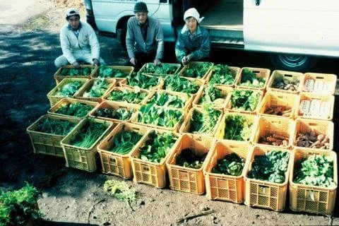 Uozumi shares In Japan, farmer Michiko Uozumi and her helpers display their ready share boxes. Photo by Hiroko Kubota.