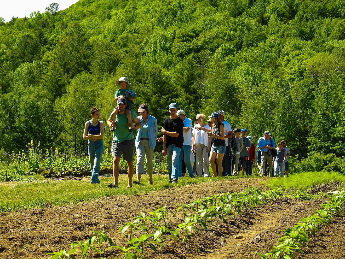 CSA Orientation and Farm Tour