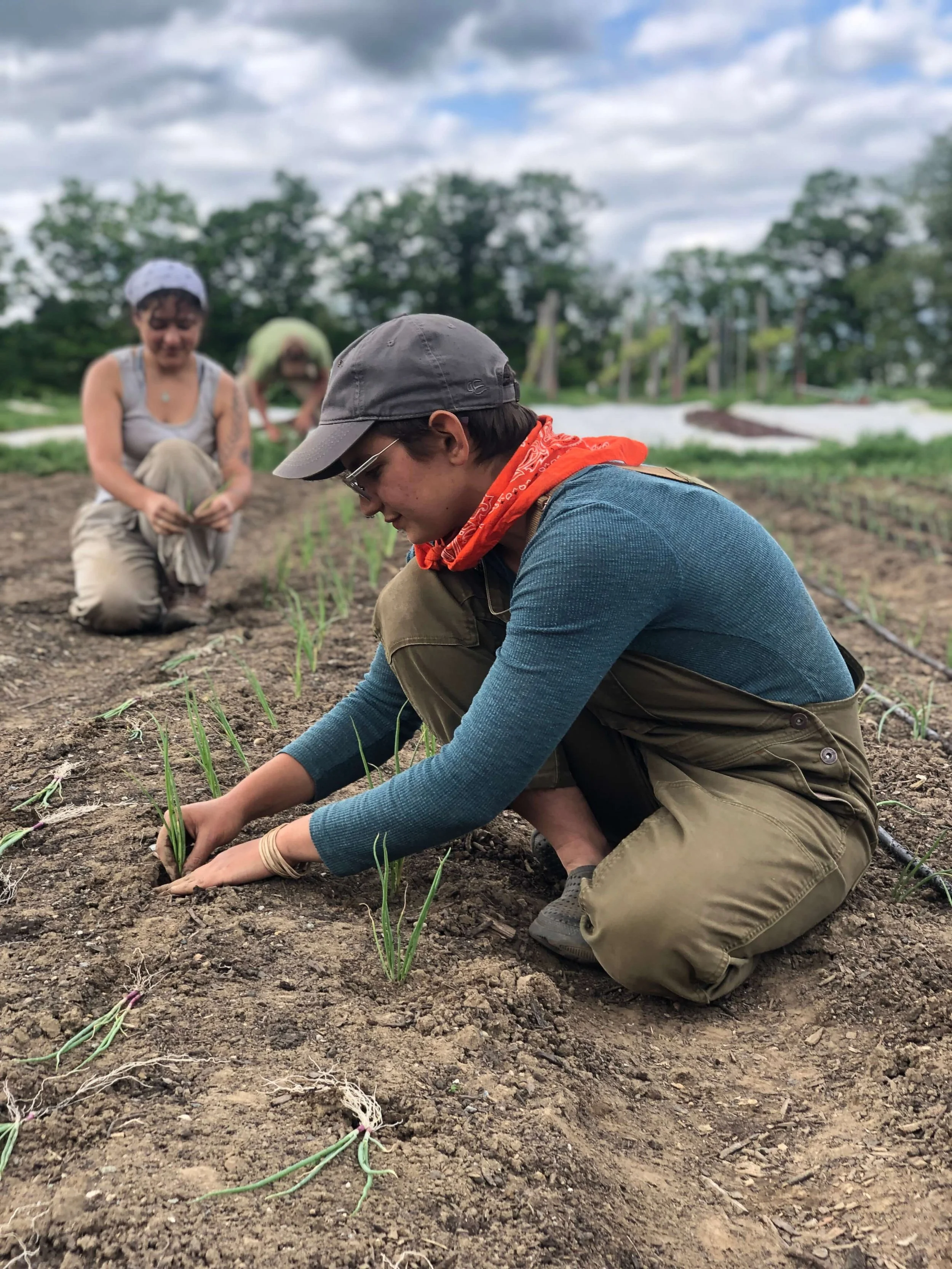 Partial Working Share