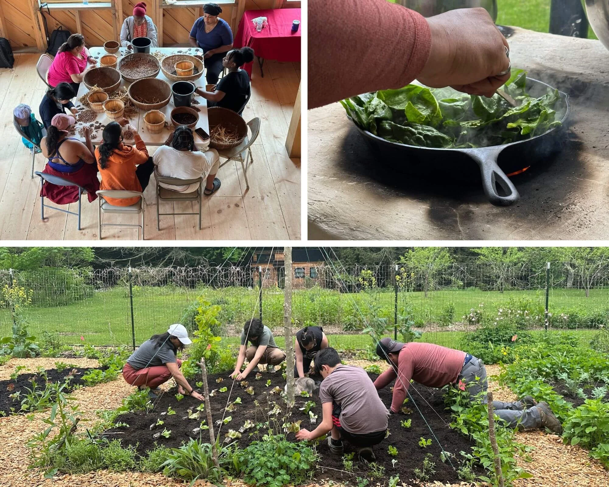 Shared Roots Program Solidarity Share Program — Woven Roots Farm
