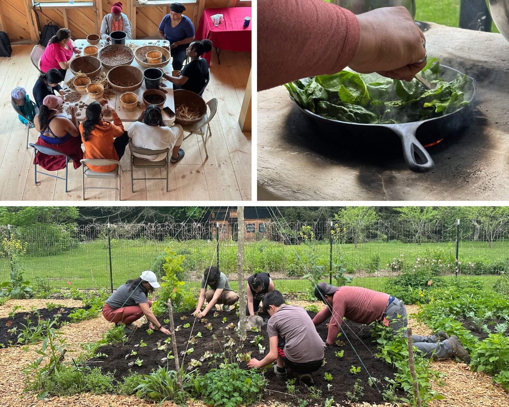 Solidarity Share Program — Woven Roots Farm