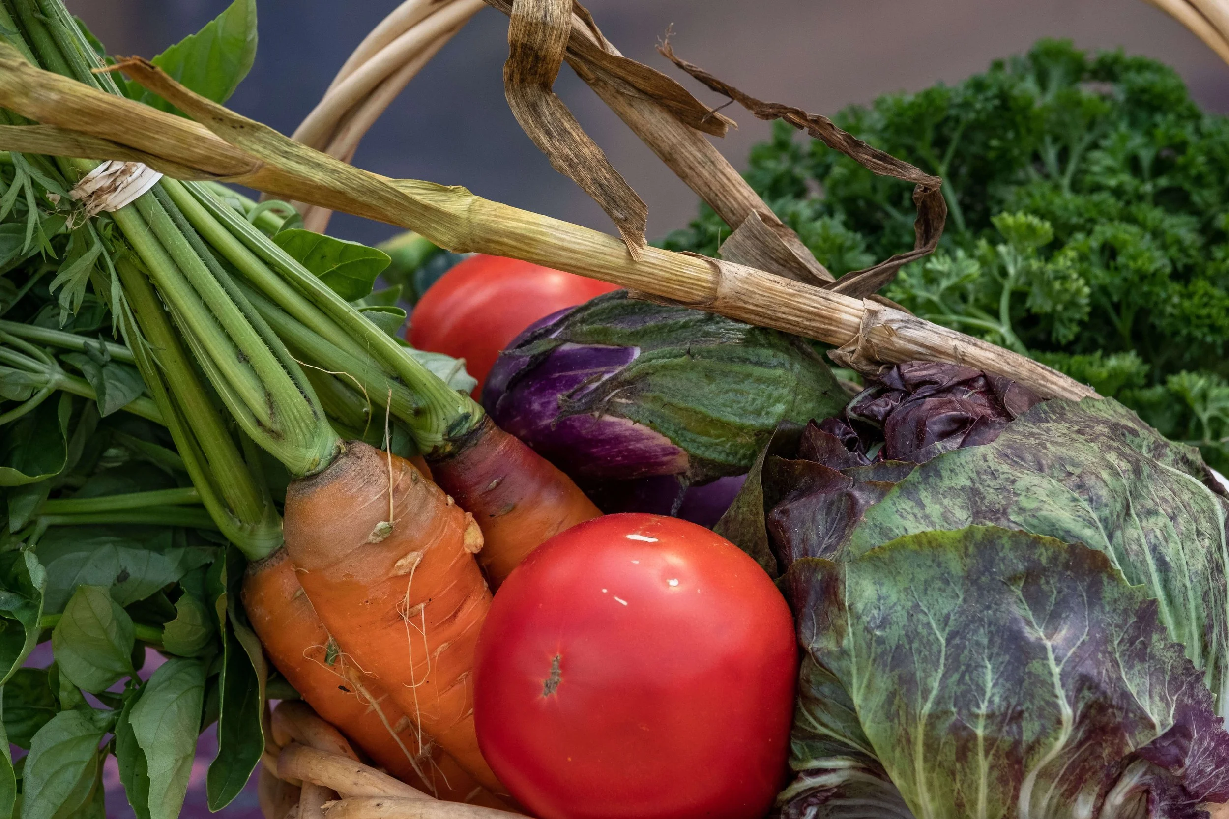 Virtual CSA Presentation, Info-Sharing, and Q+A Thursday, April 25th 10:00 – 11:00am