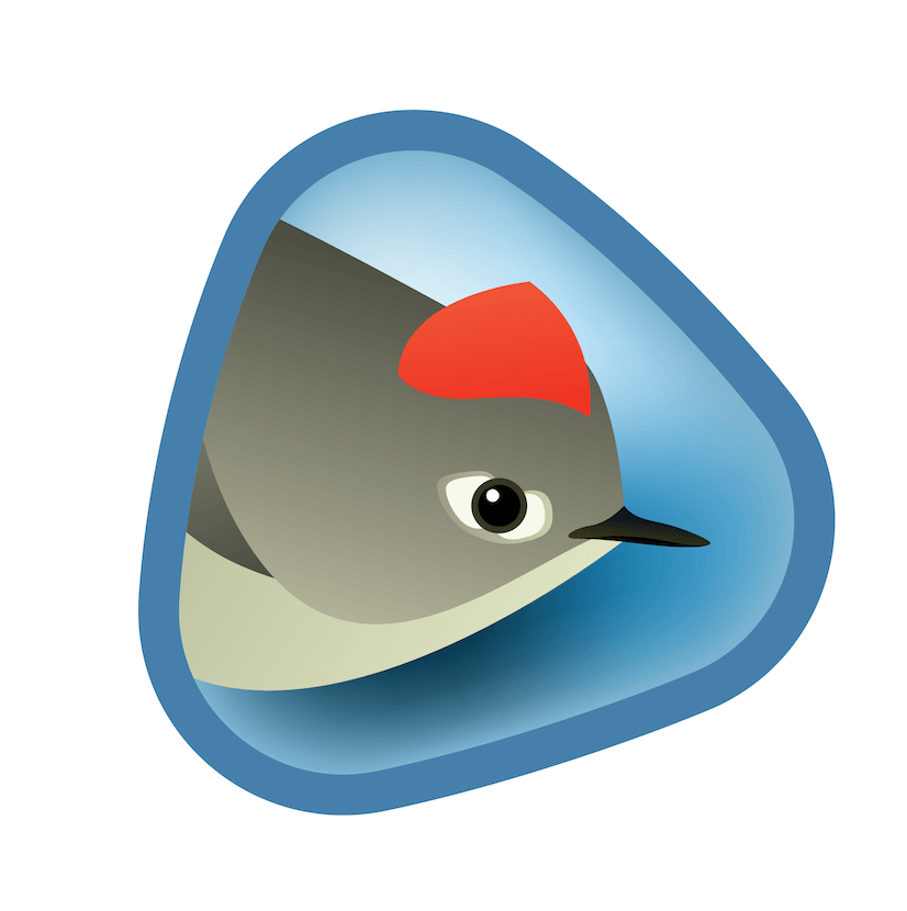 Birdwatching Basics - Saturday, June 27th, 8-9:30am