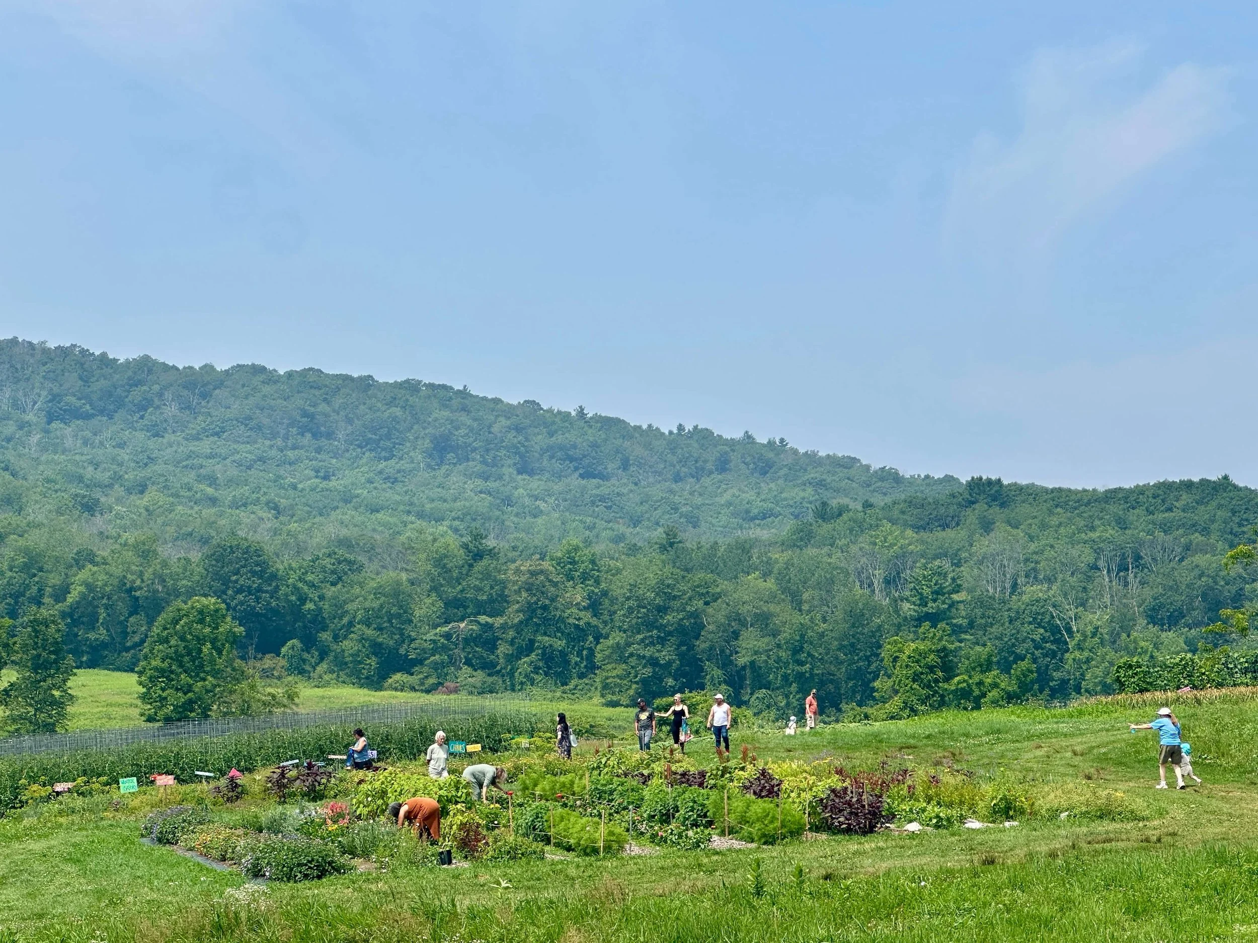 IMG_7397 (1) (1).jpg