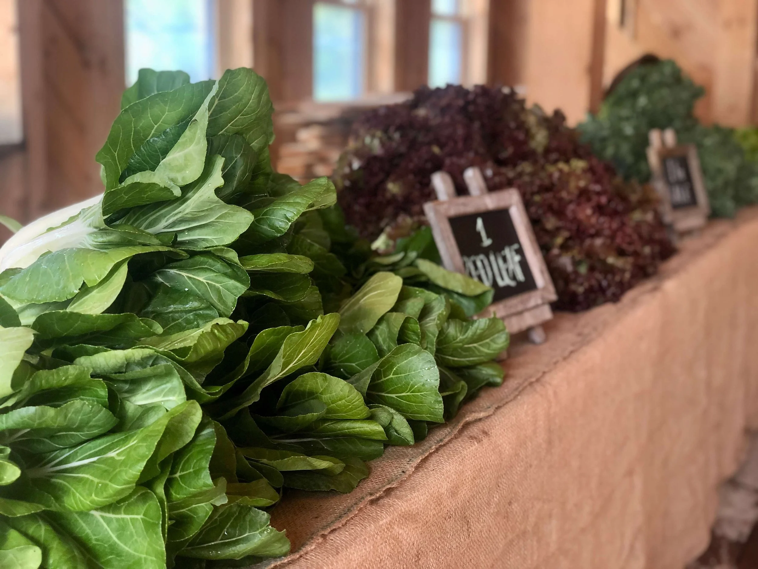 IMG_6926 (1) (1).jpg