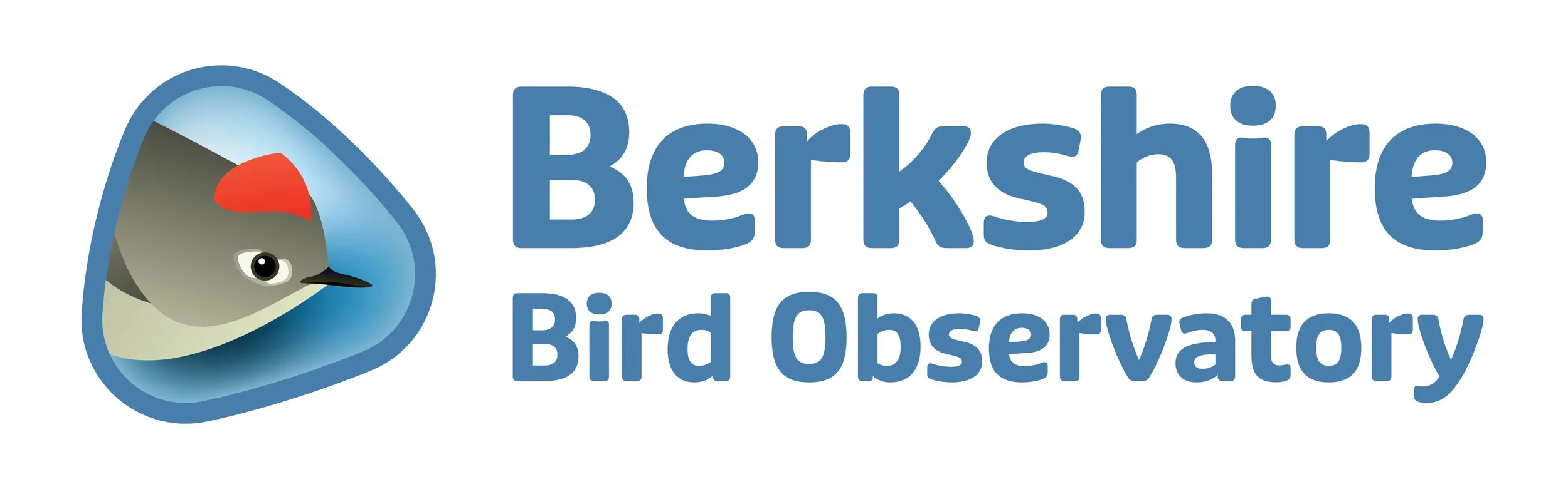 BBO_Full_Blue_Logo.jpg