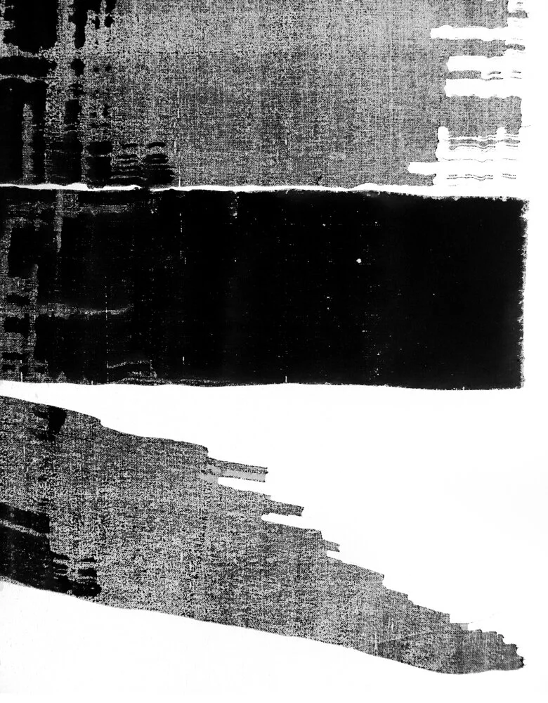absence-presence-det2-m.jpg