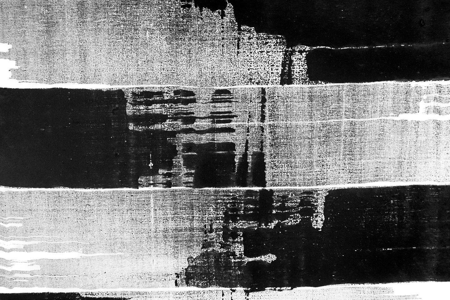 absence-presence-det1-m.jpg