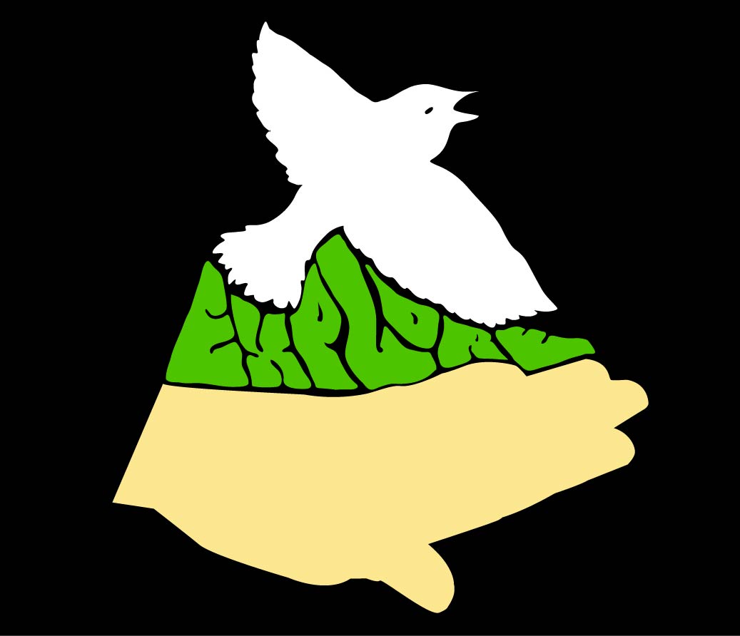 whitebird.jpg