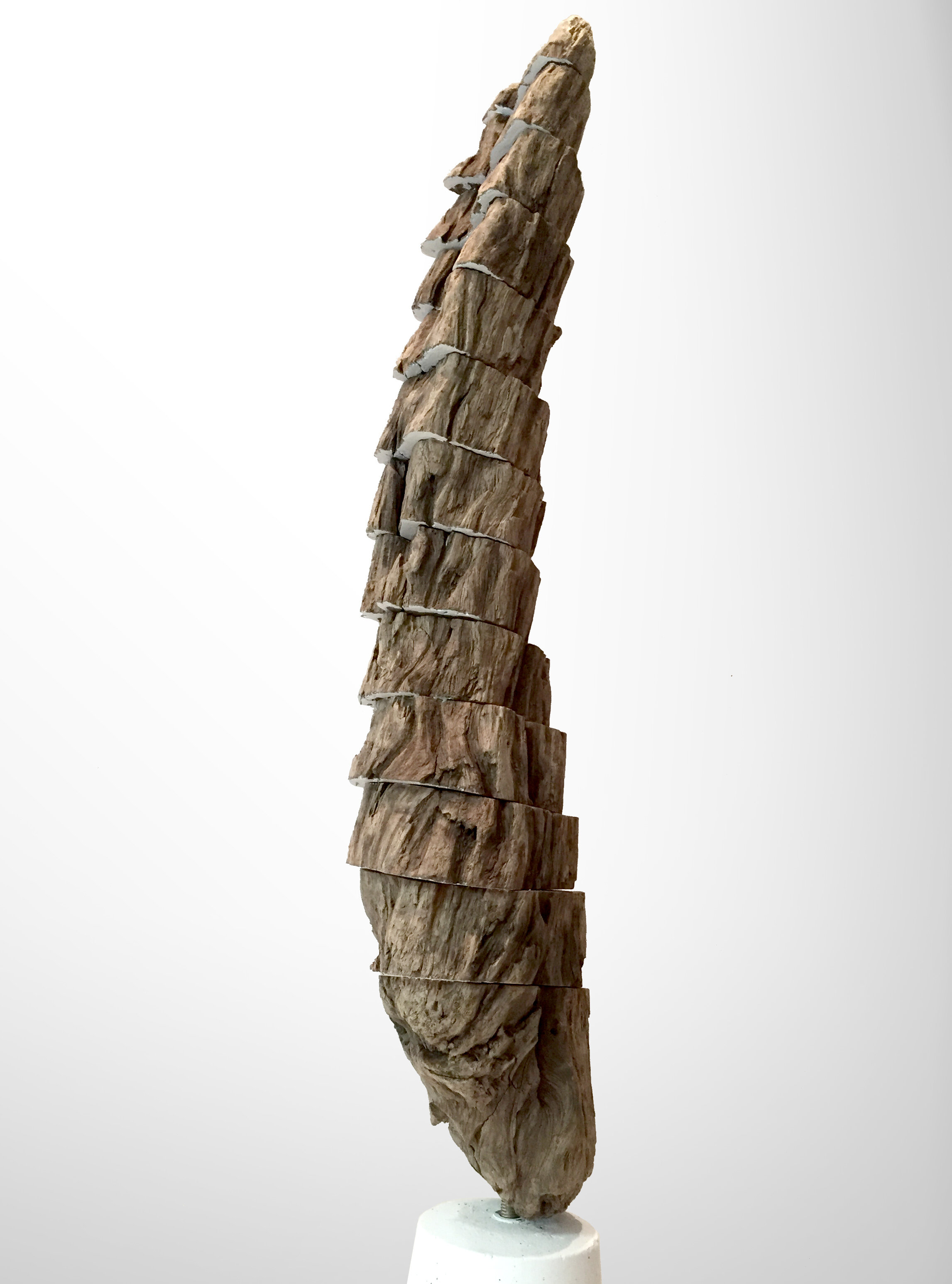side2.jpg