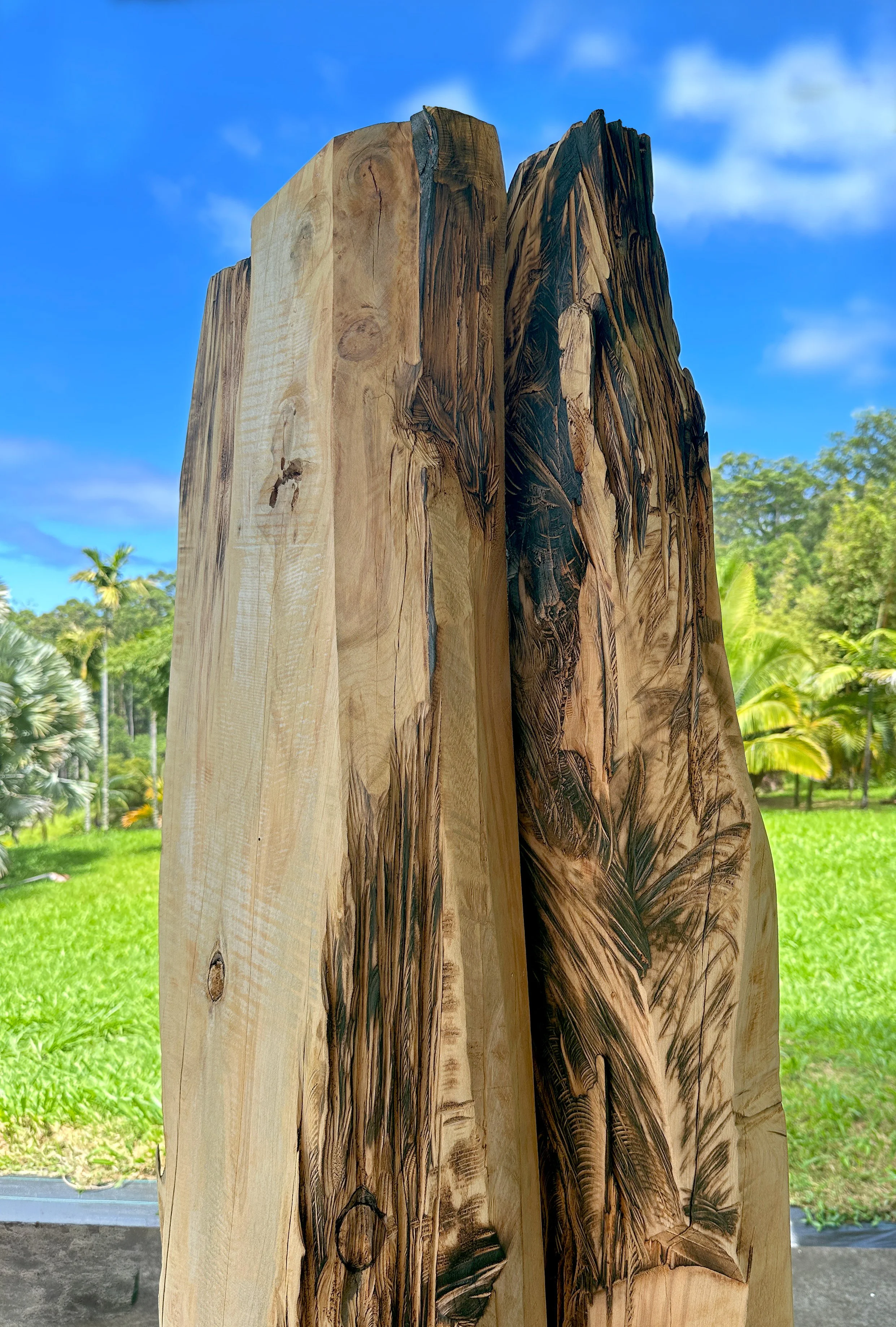 guardian-cypress-pair-close.jpg