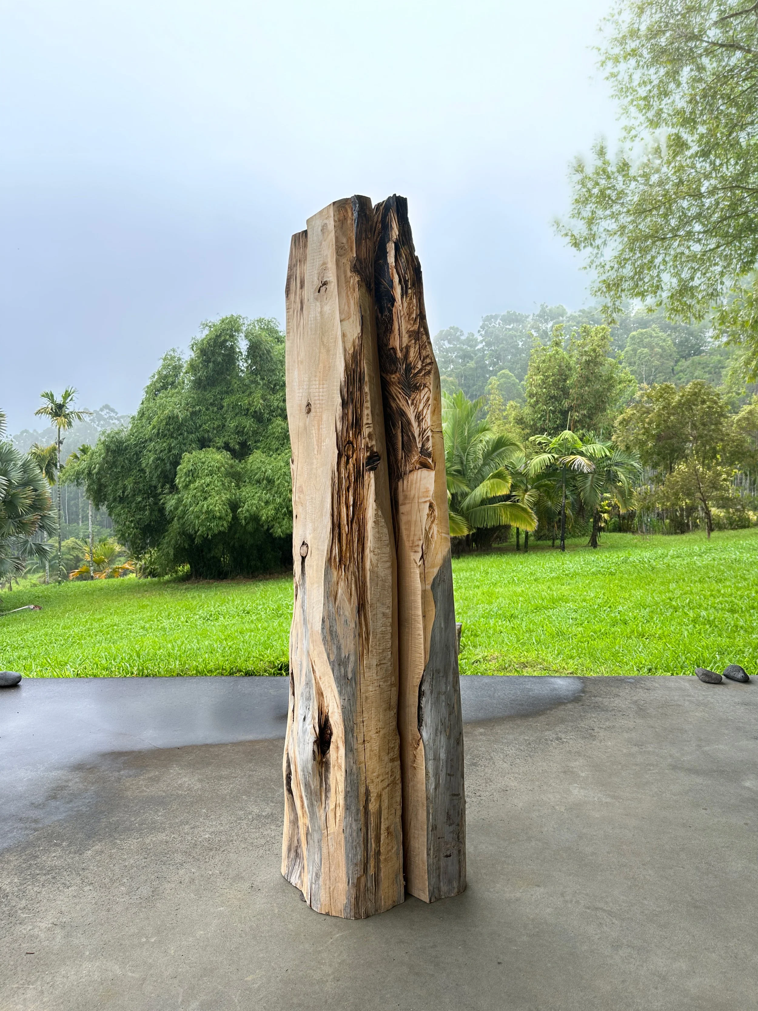guardian-cypress-pair.jpg