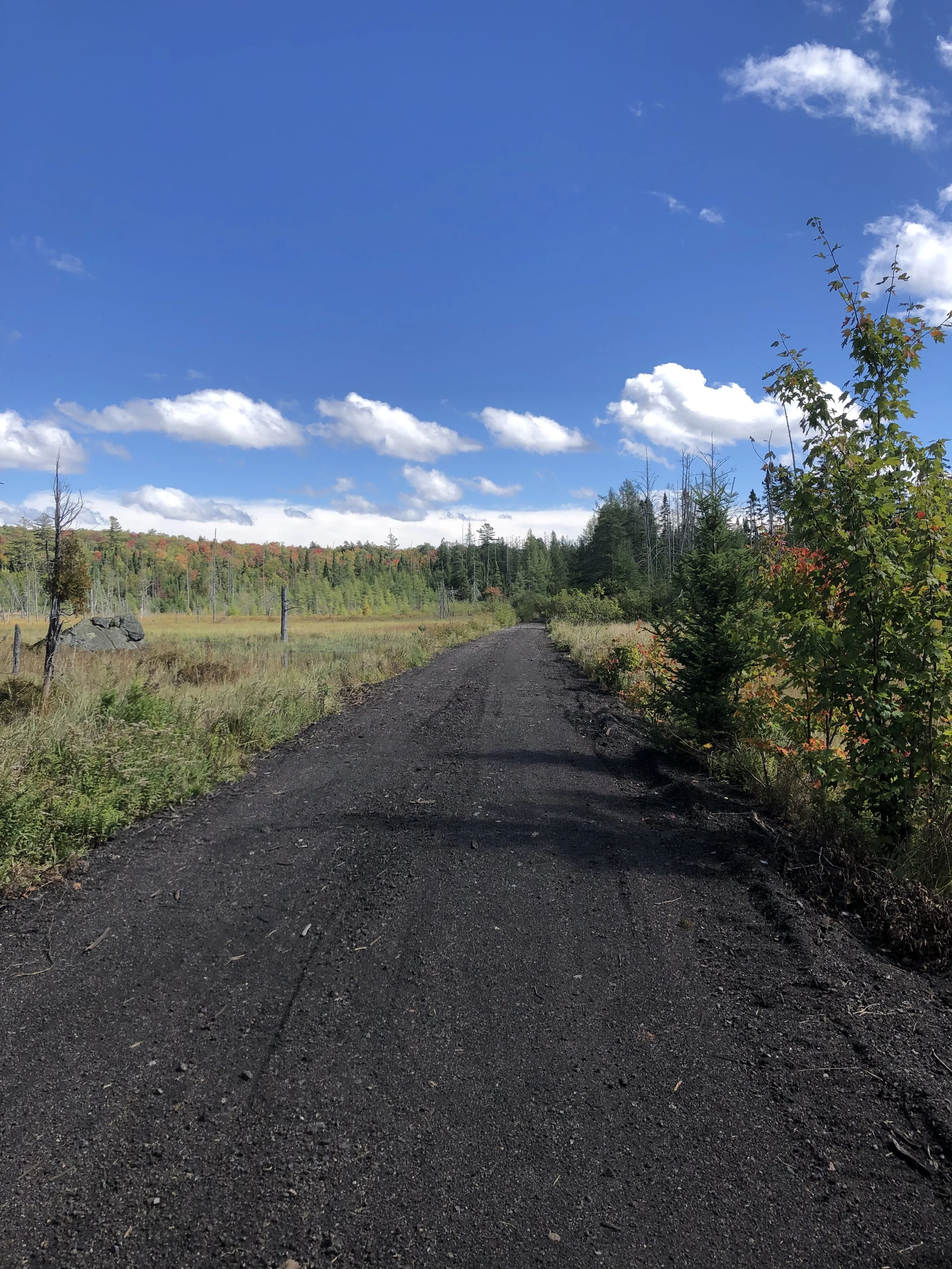 Rail Trail.JPG