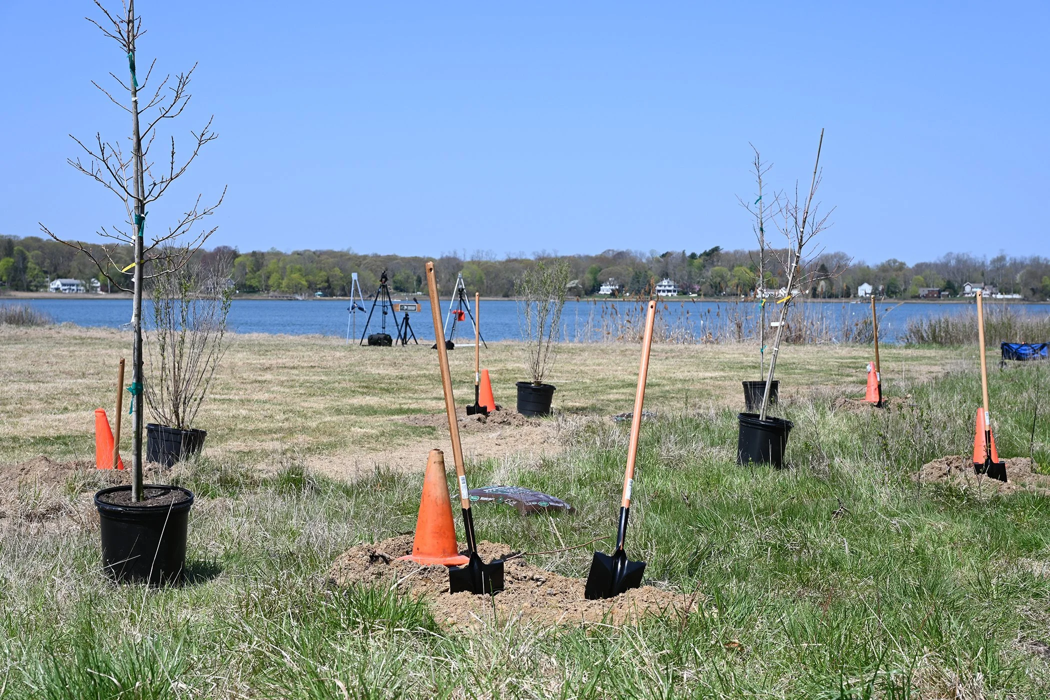 DEC ANNOUNCES FIFTH ROUND OF REGENERATE NY FORESTRY COST SHARE GRANTS