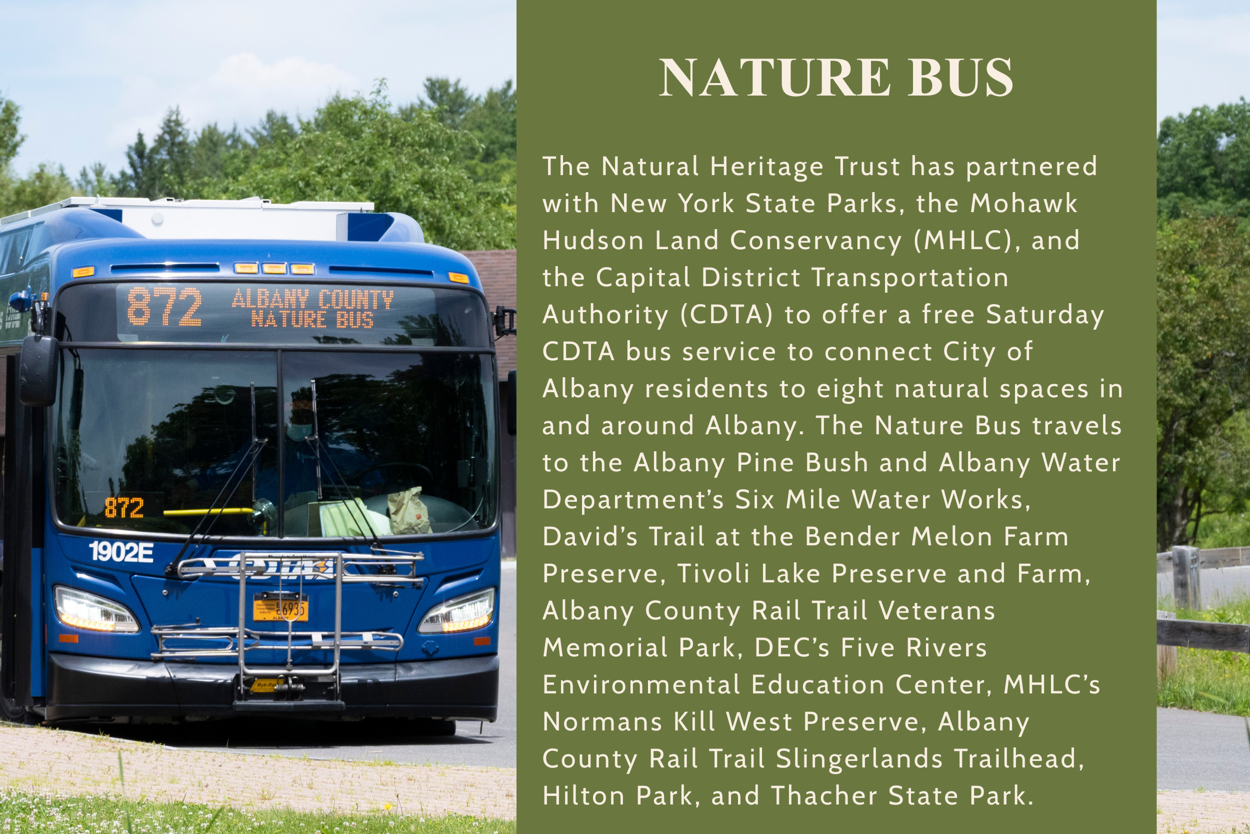 Nature Bus.png