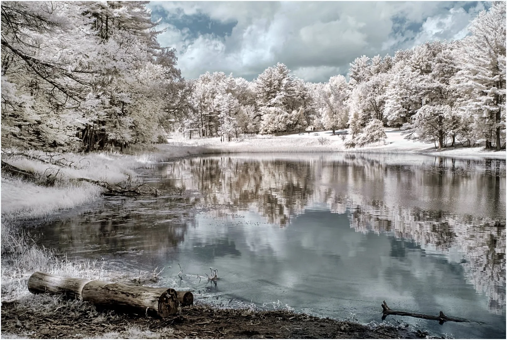 Employment Opportunities — Natural Heritage Trust, image size:1613x1080