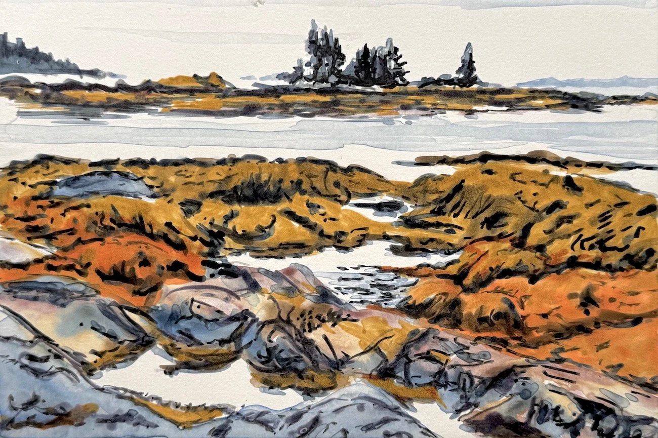 Ames Point 1/  image #22
