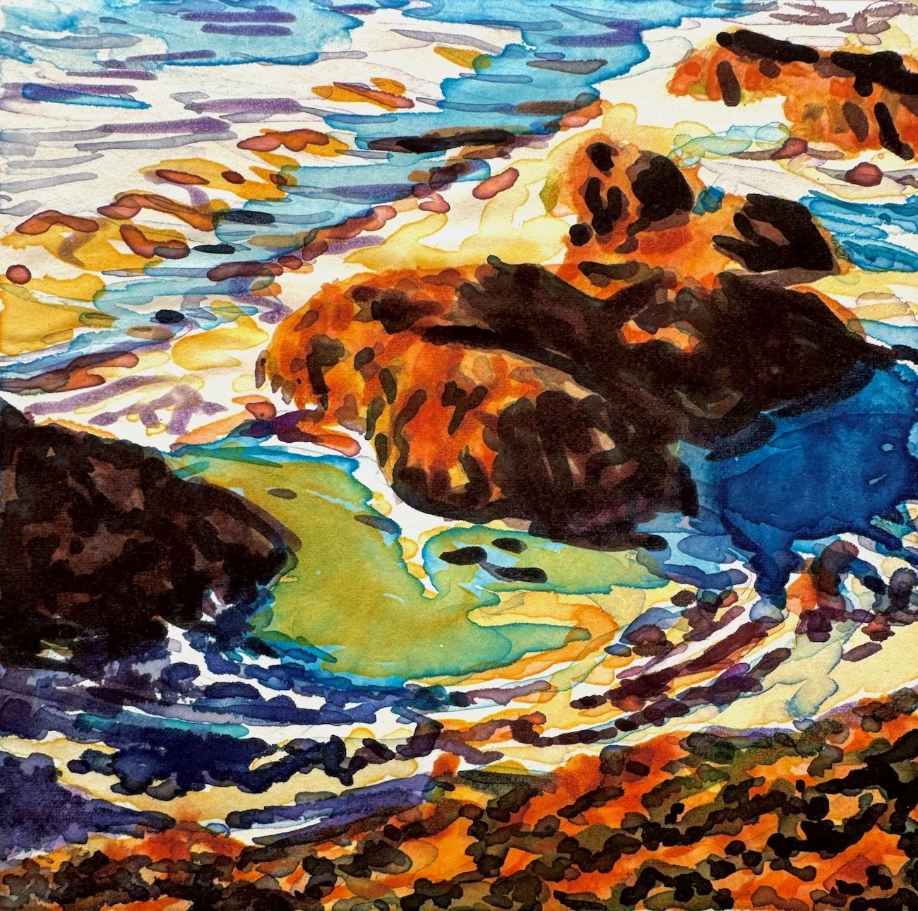 Tide Pool Whirl 1/ image # 16