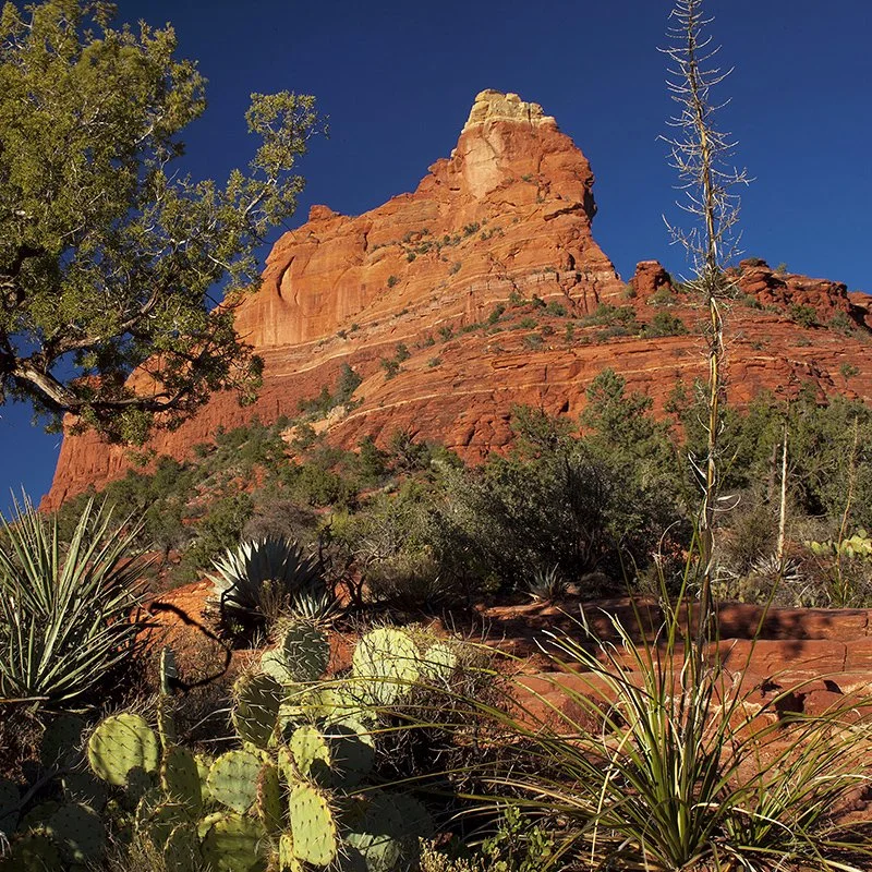 Redrocks, Sedona sq.jpg