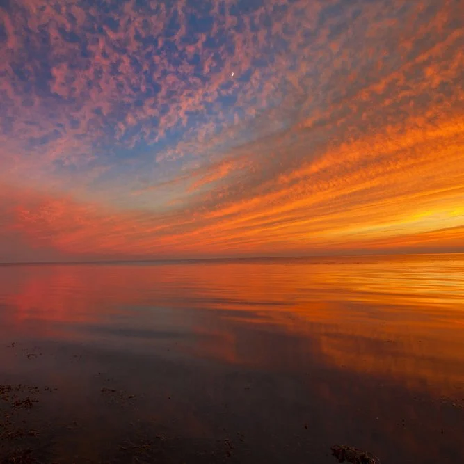 Sunset, Wellfleet Harbor, Cape Cod sq.jpg
