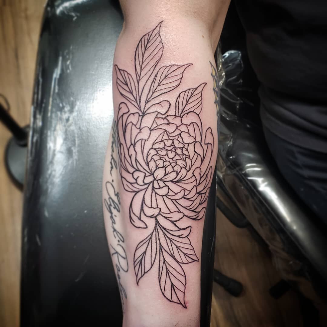 Some lines to start this #chrysanthemumtattoo for Brandy.
⚡#serenityink ⚡
#tattoo #tattoos #traditionaltattoo #blacktattoo #blackandgreytattoo #colortattoo #customtattoo #boldtattoo #tattooart #newtattoo #tattoodesign #tattooflash #cooltattoos #tatto