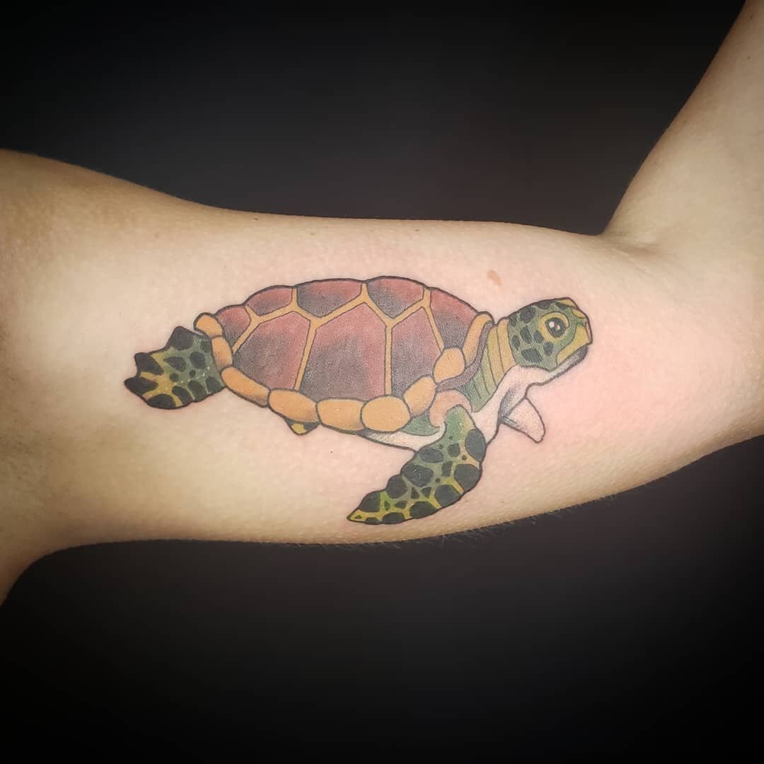 New sea-turt for Shannon.🐢👍
🪄Serenity Ink Tattoo🪄
#tattoo #tattoos #traditionaltattoo #blacktattoo #blackandgreytattoo #colortattoo #customtattoo #boldtattoo #tattooart #tattooartist #tattoodesign #tattooflash #cooltattoos #tattooinsta #tattoopic