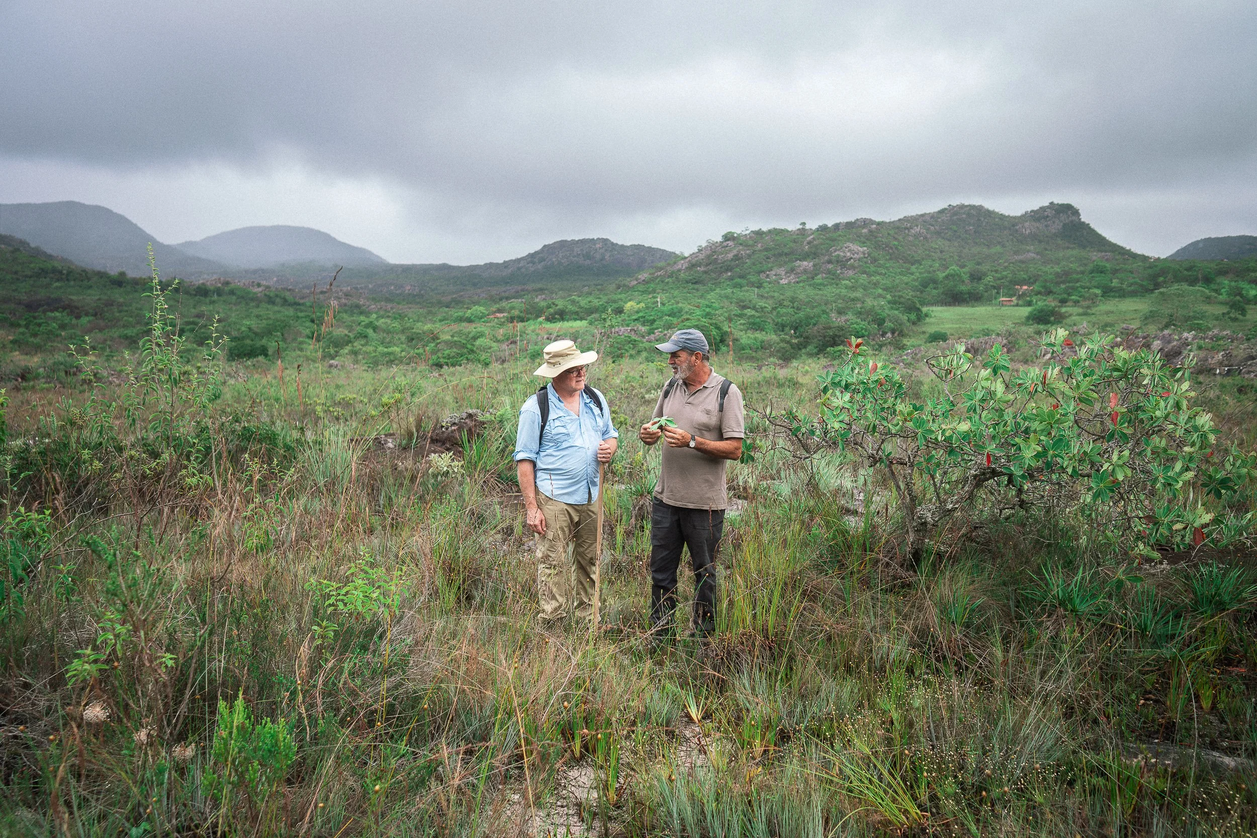 Marcos teaching Greg about native plants while on the trail in São Gonçalo do Rio das Pedras, Serra do Espinhaço